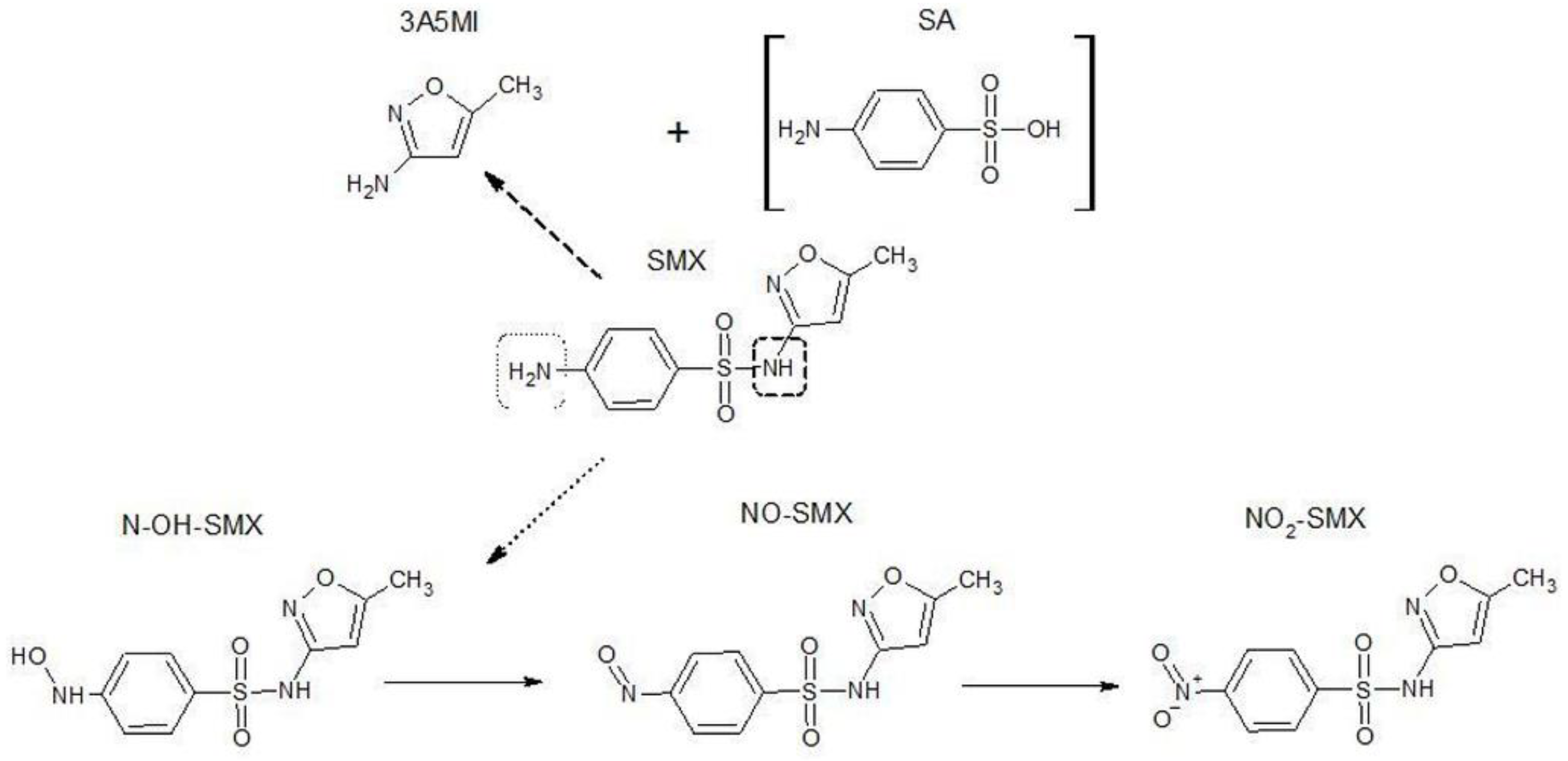 Catalysts 09 00500 g004
