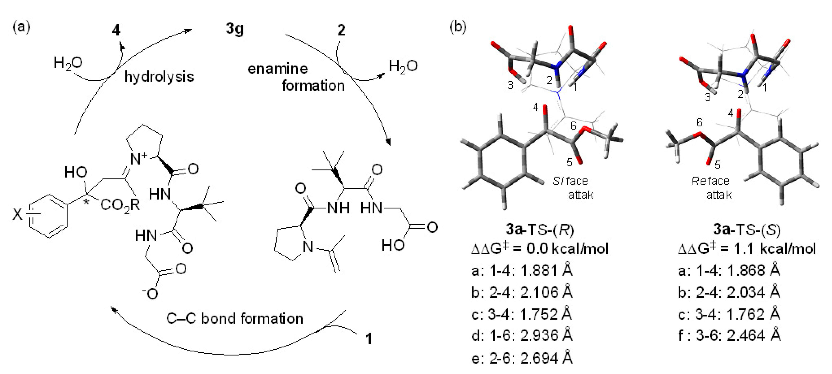 Catalysts Free Full Text Tripeptide Catalyzed Asymmetric Aldol