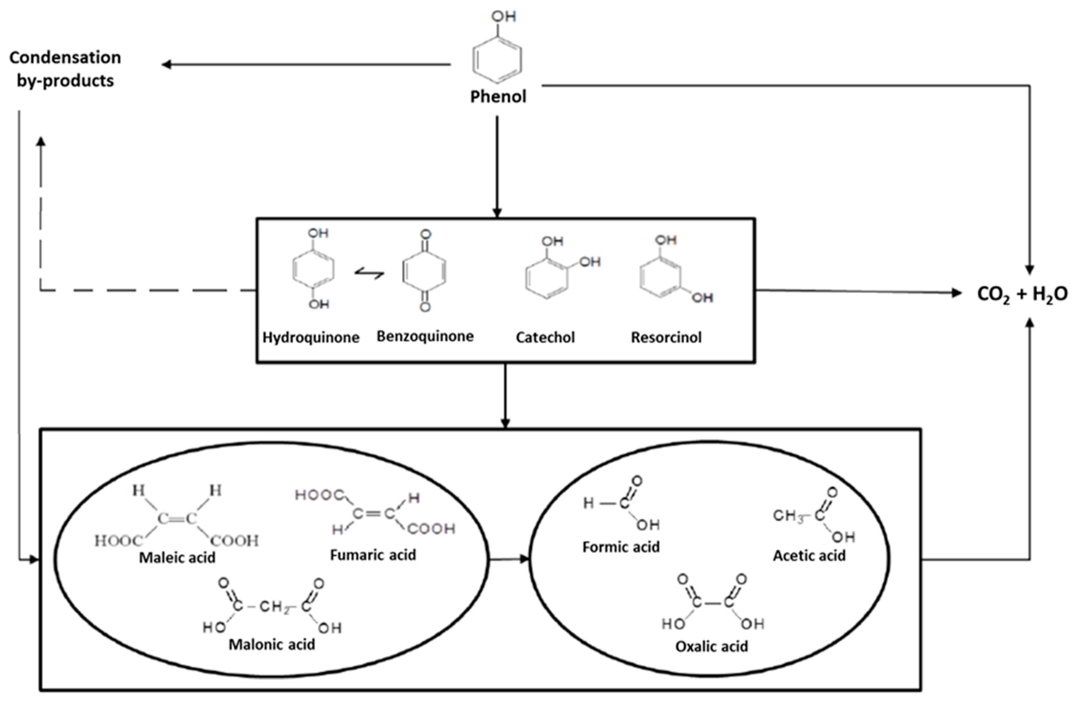 Catalysts 09 00516 g005 Catalysts 09 00516 g005