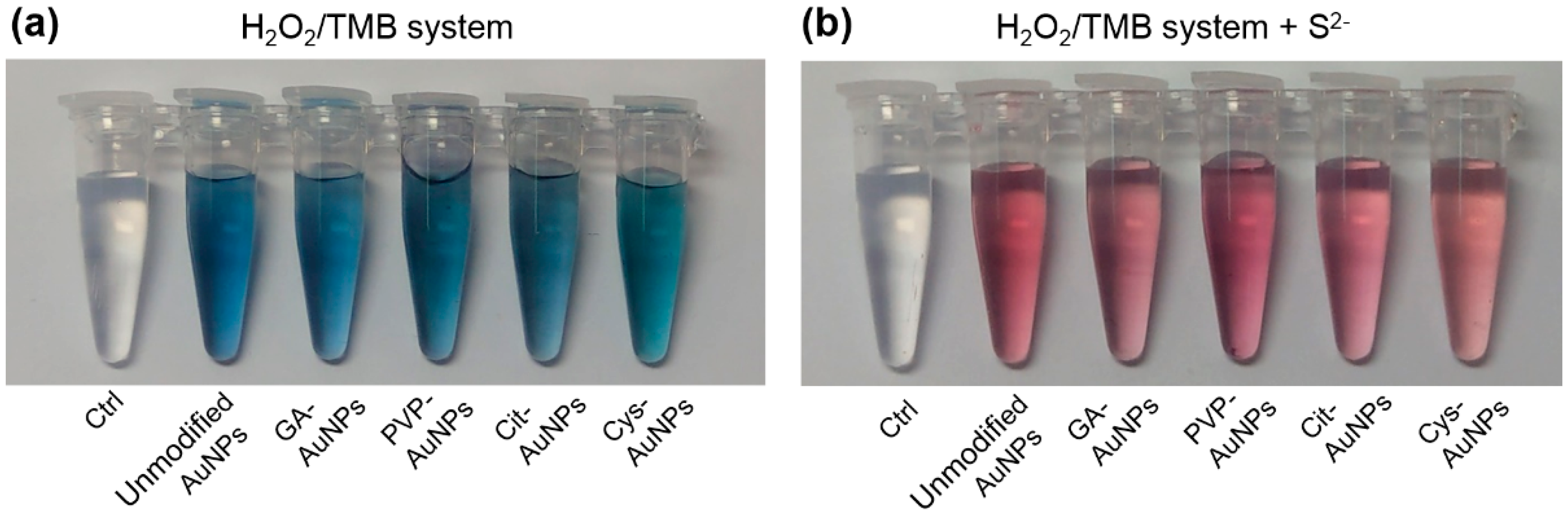 Catalysts 09 00517 g002 Catalysts 09 00517 g002