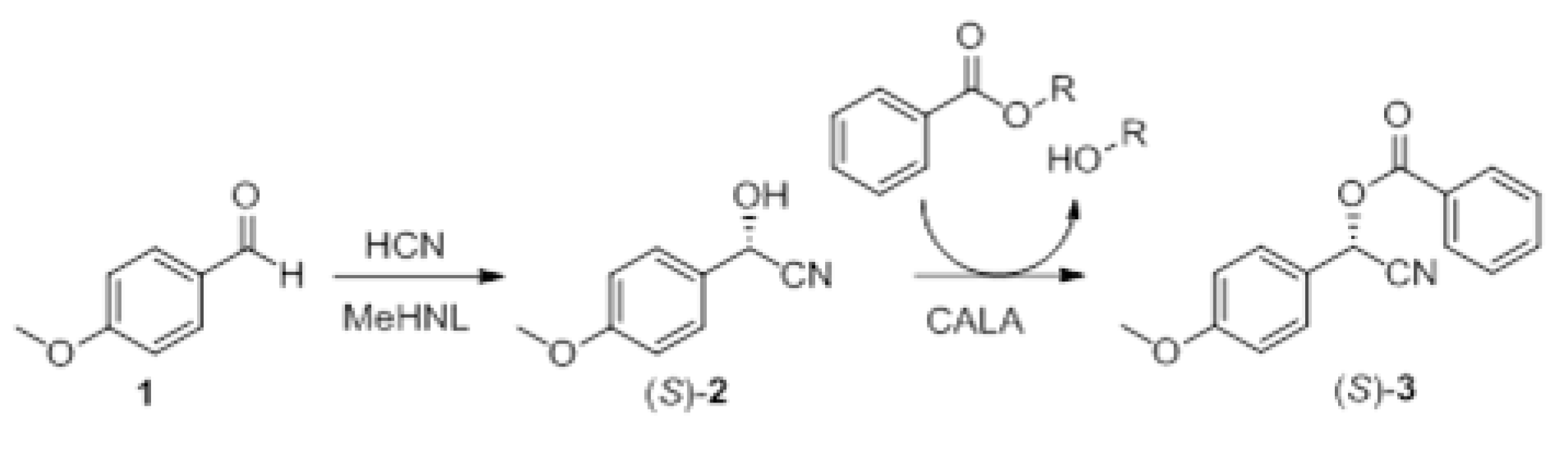 Catalysts 09 00522 sch001