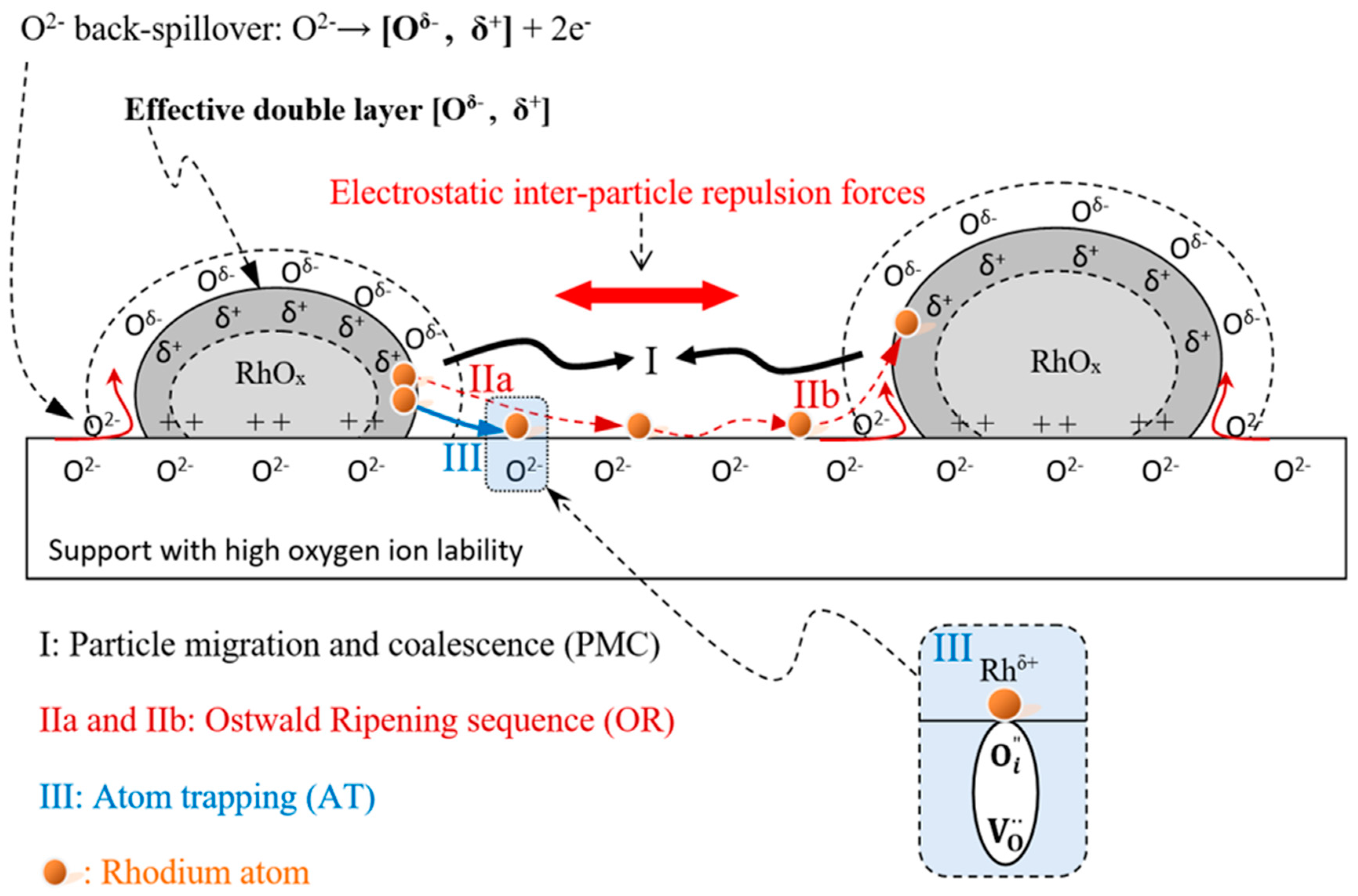 Catalysts 09 00541 g008