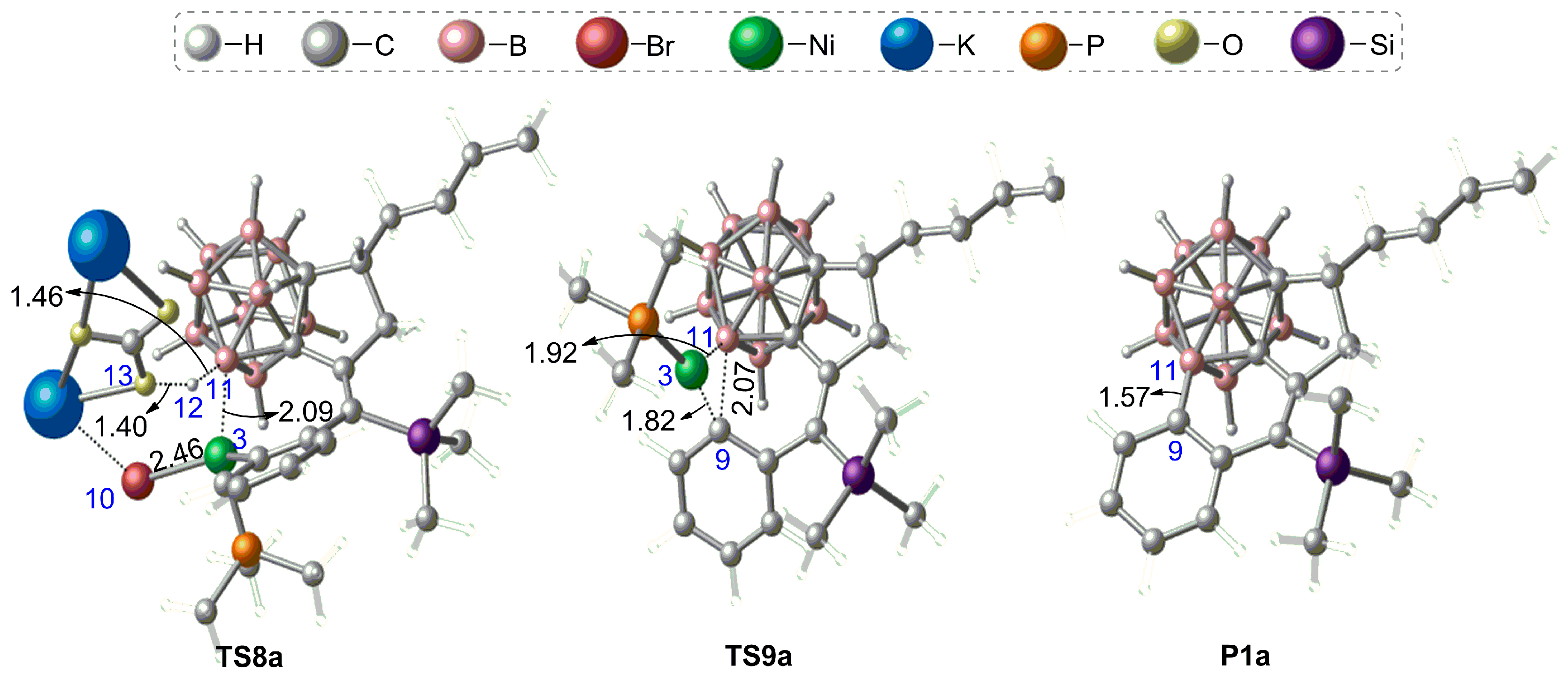 Functionalization Of Carborane Via Carboryne Intermediates Mobi Download D B Reynolds Read Online