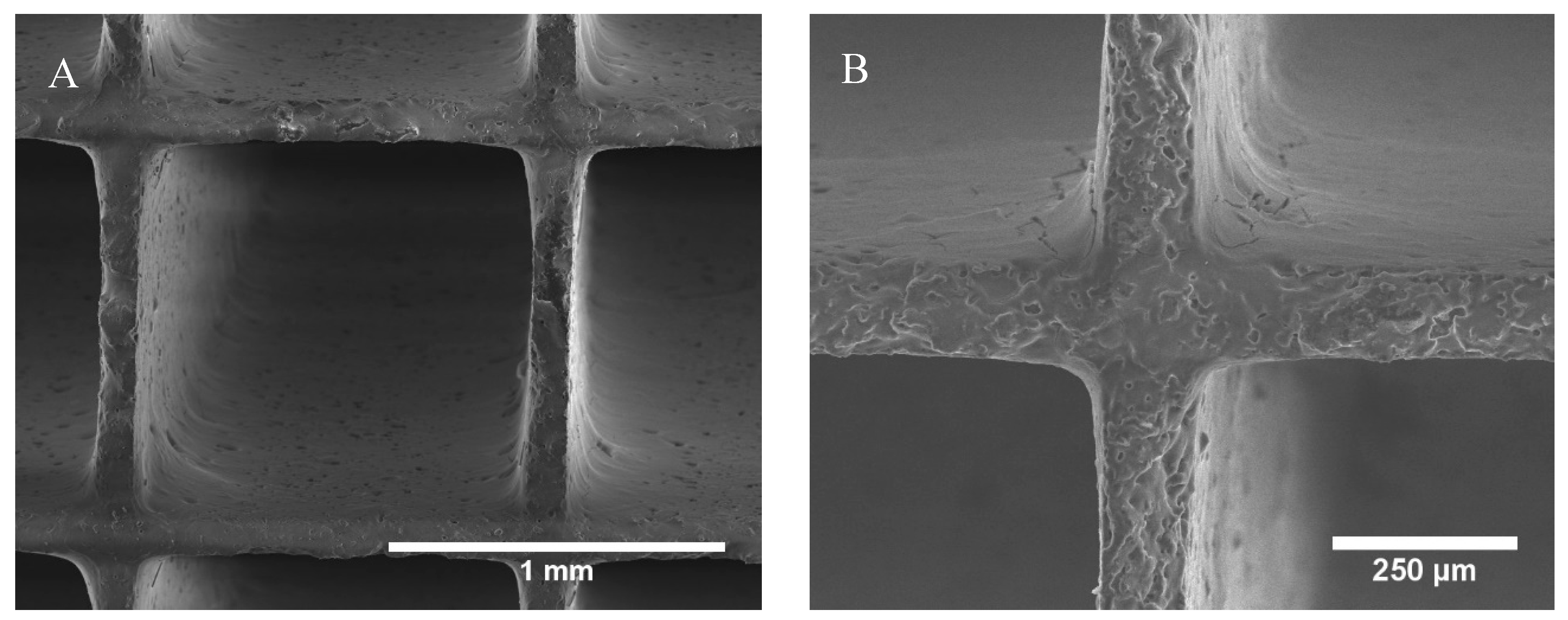 Catalysts 09 00557 g002a Catalysts 09 00557 g002a