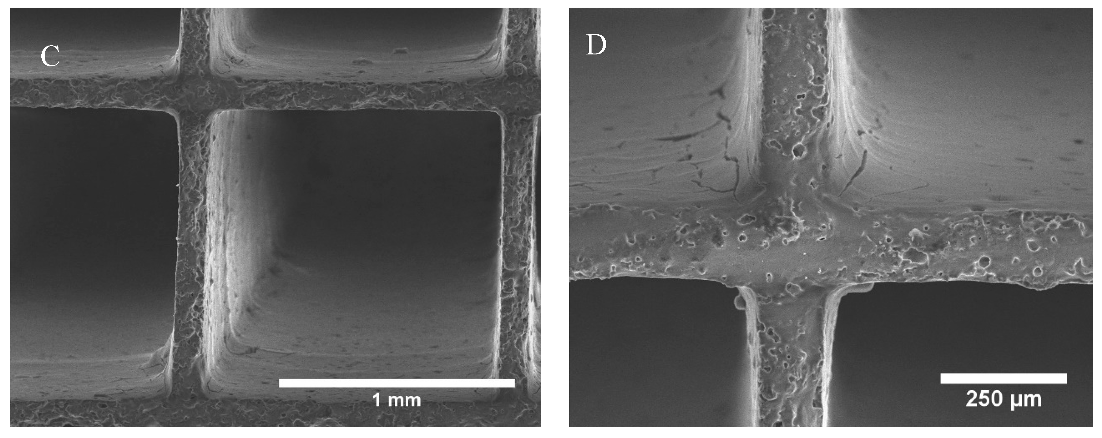 Catalysts 09 00557 g002b Catalysts 09 00557 g002b