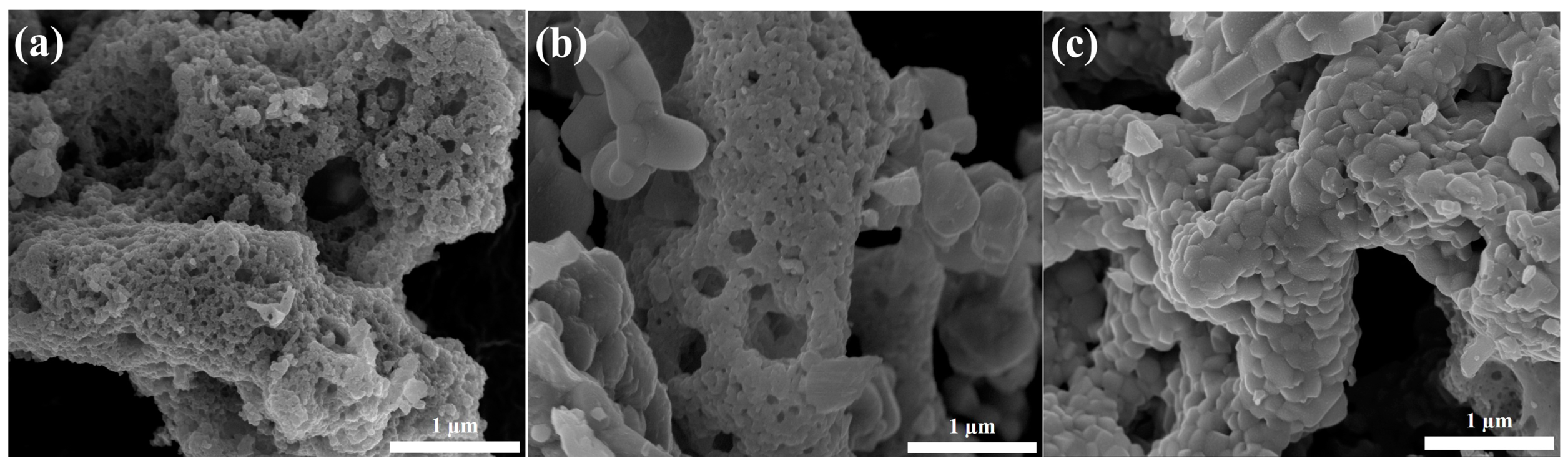Catalysts 09 00564 g001 Catalysts 09 00564 g001