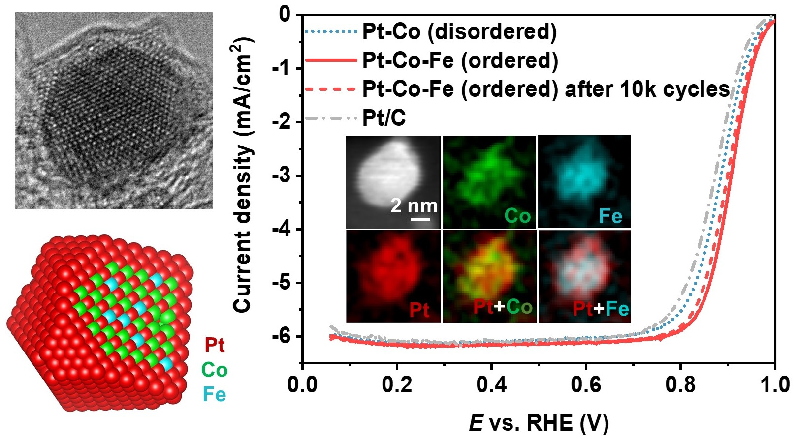 Catalysts Free FullText Rational Development of Structurally