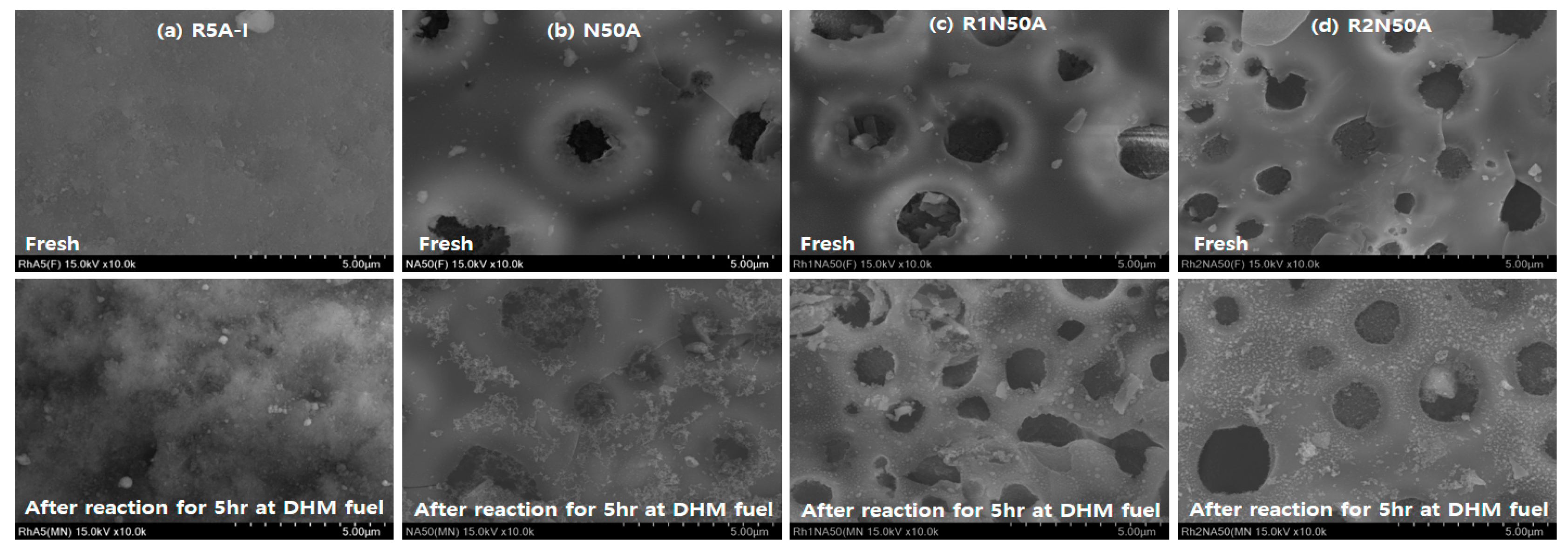 Catalysts 09 00573 g007