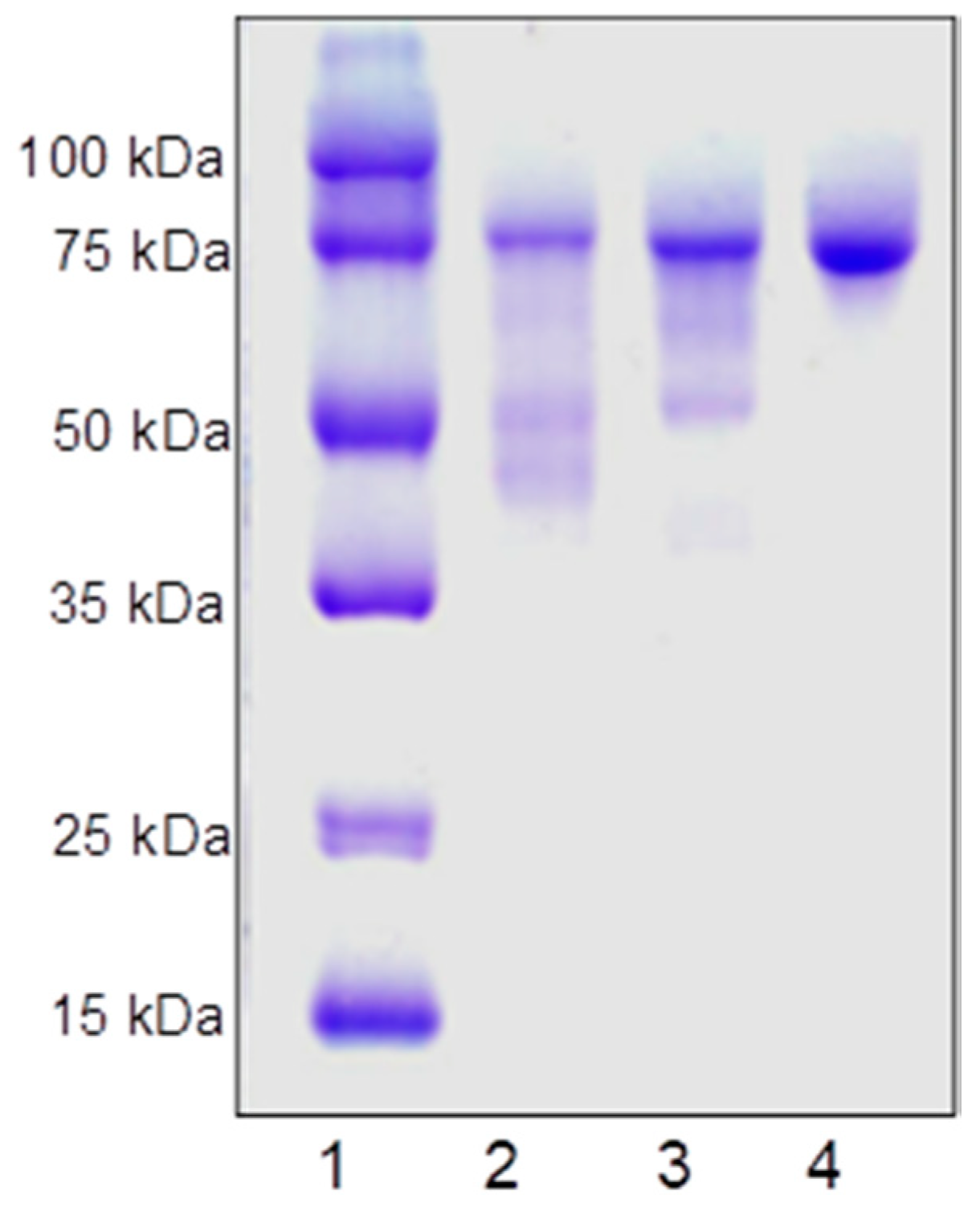 Catalysts 09 00575 g003