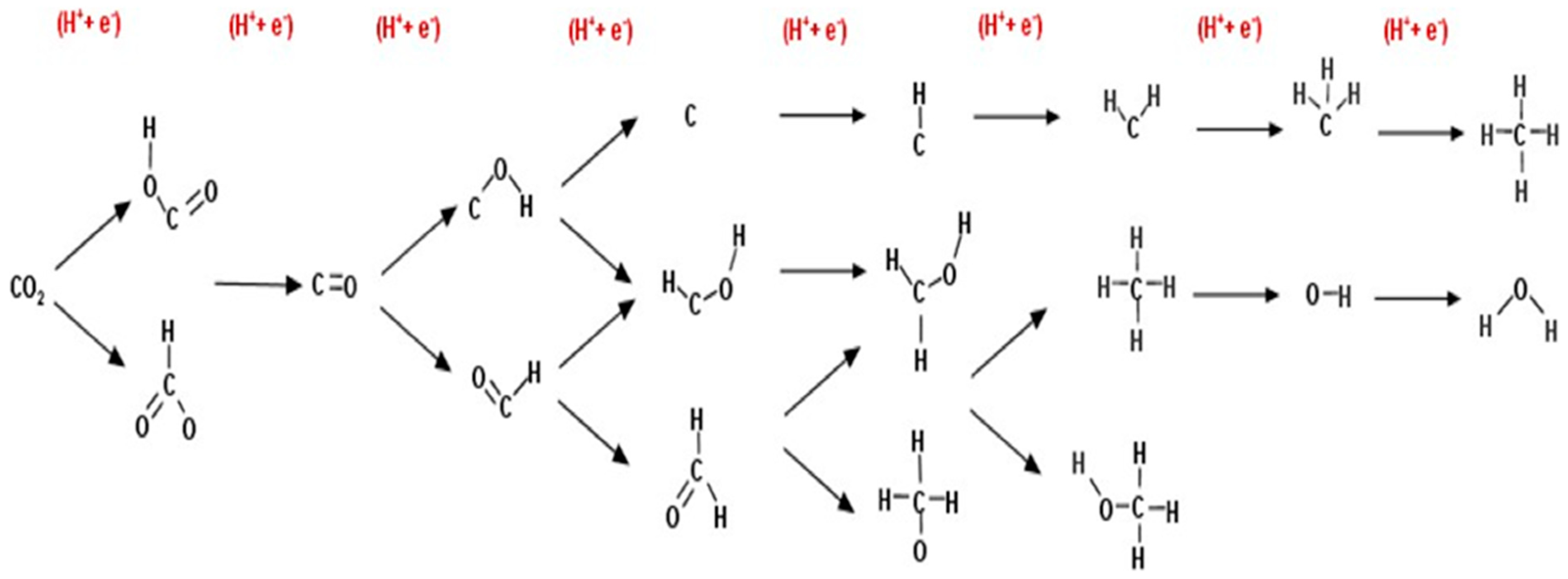 Catalysts 09 00604 g013