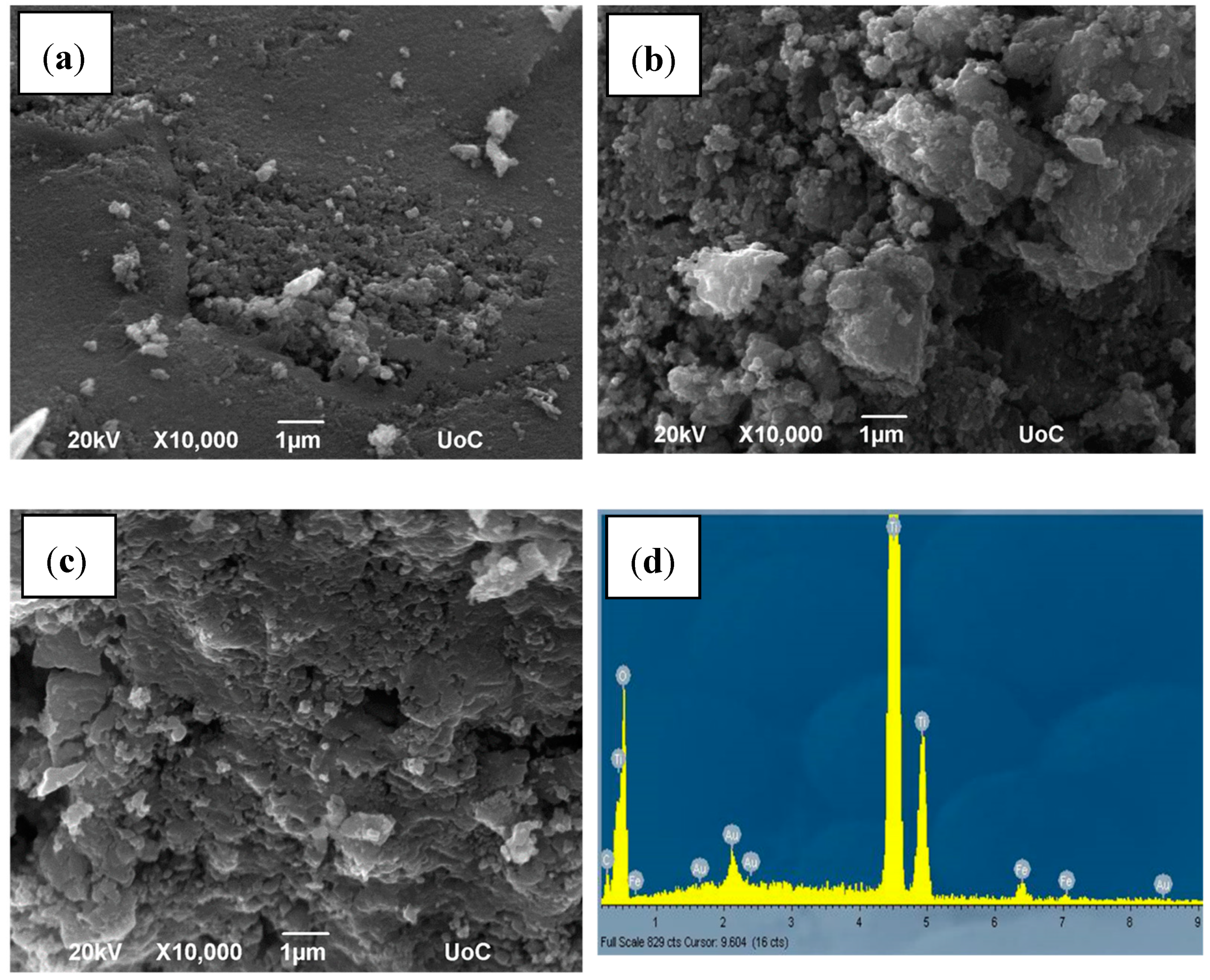 Catalysts 09 00612 g003