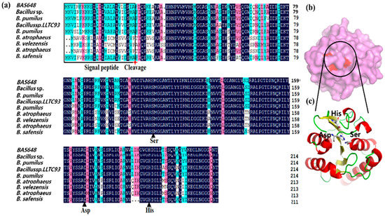rose Systematic investigation and validation of peanut genetic