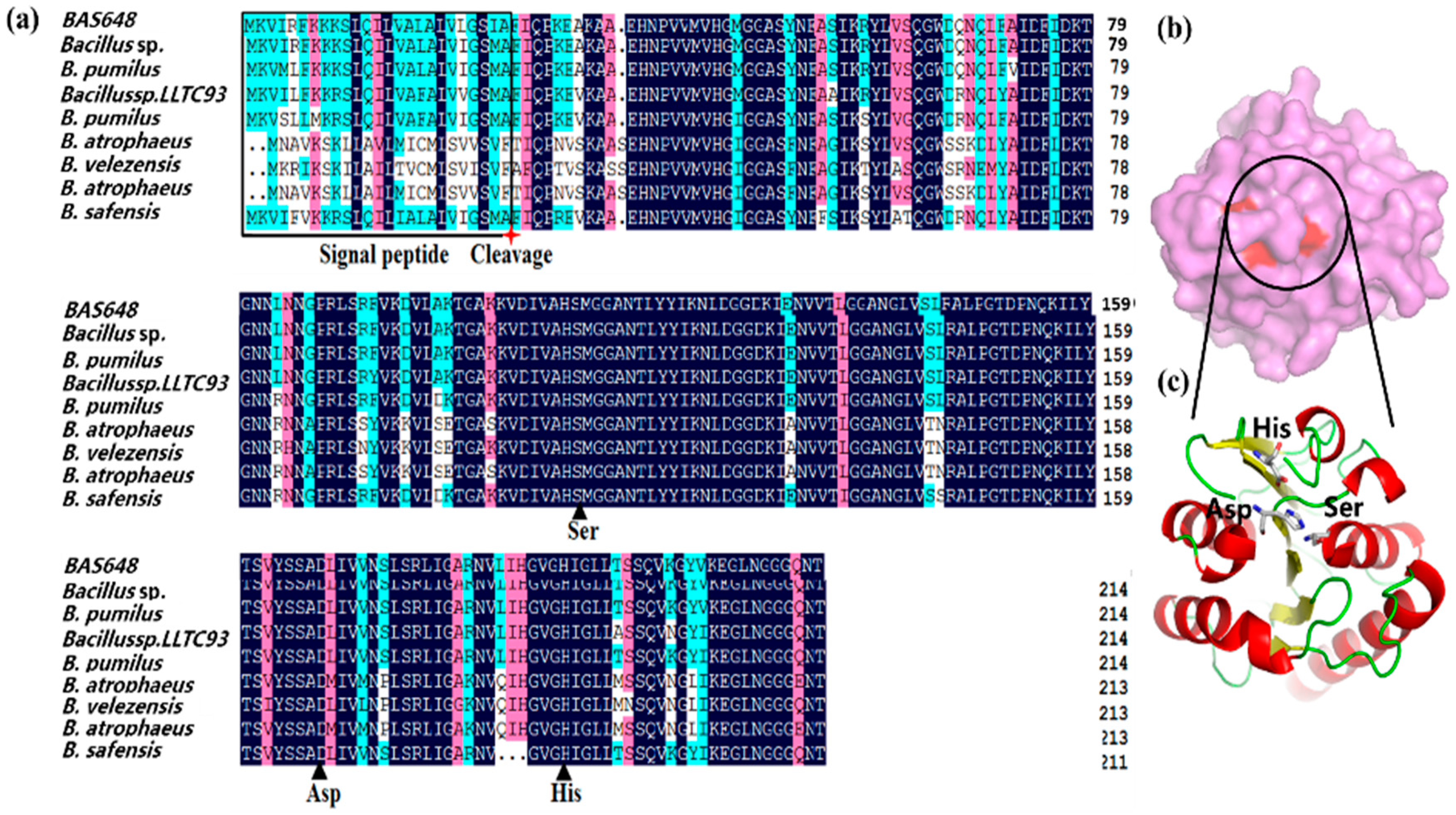 Catalysts 09 00620 g001 Catalysts 09 00620 g001