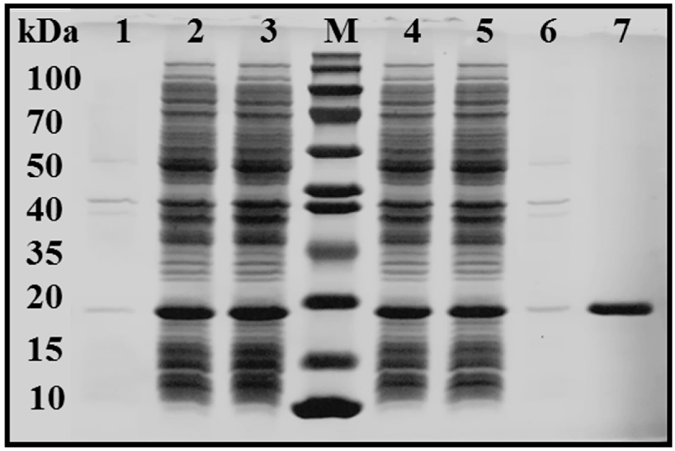 Catalysts 09 00620 g002 Catalysts 09 00620 g002