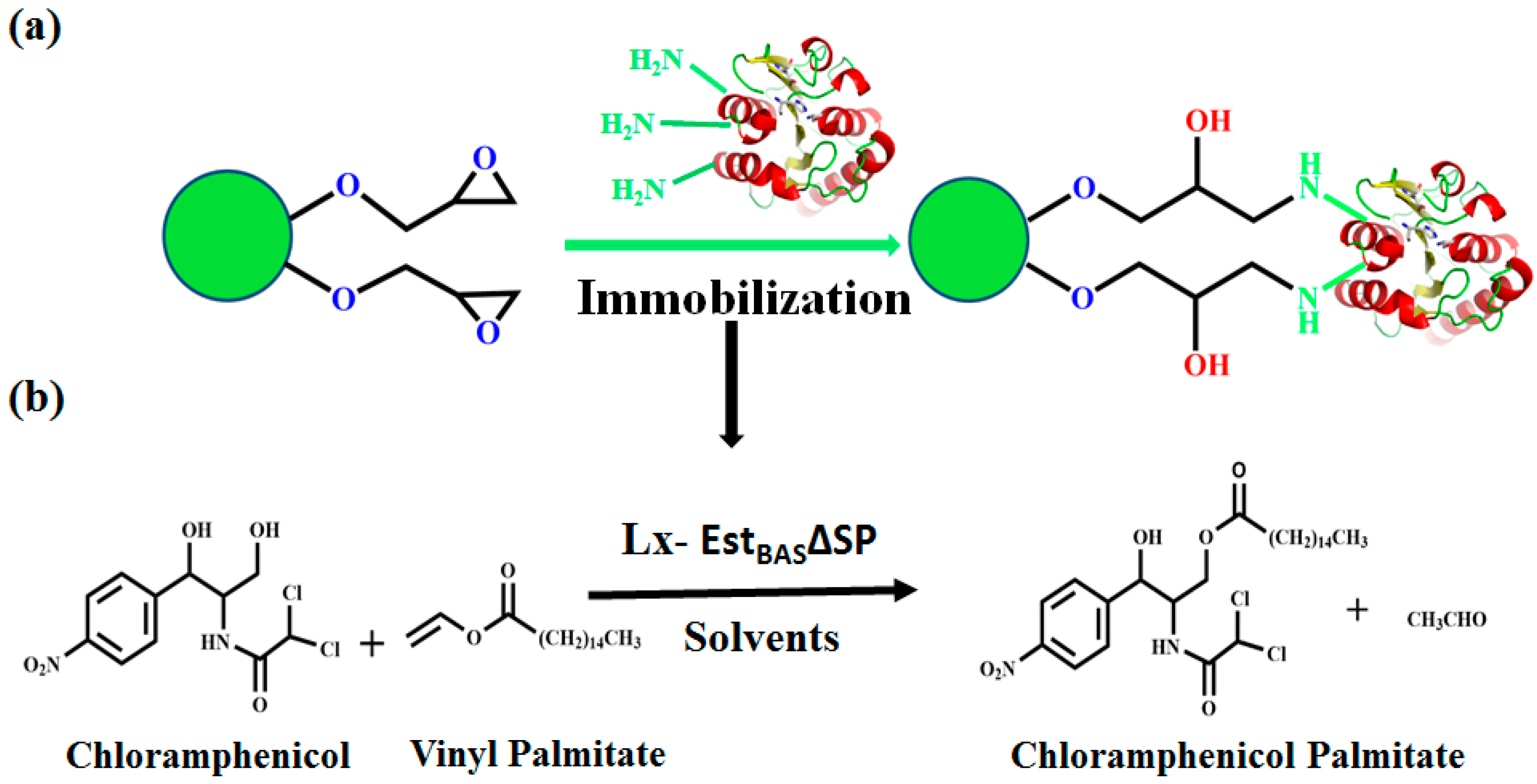 Catalysts 09 00620 sch001 Catalysts 09 00620 sch001
