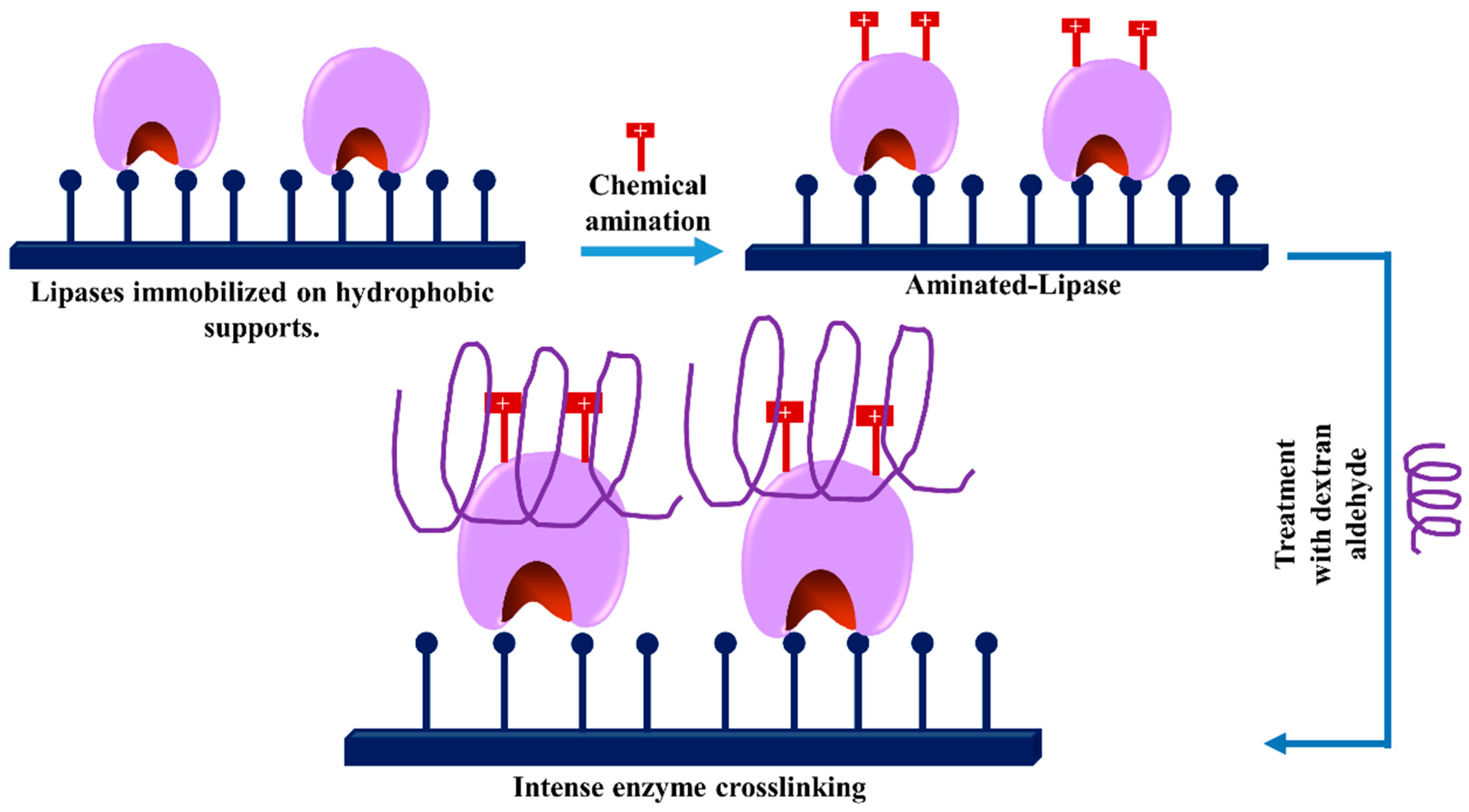 Catalysts 09 00622 g007 Catalysts 09 00622 g007