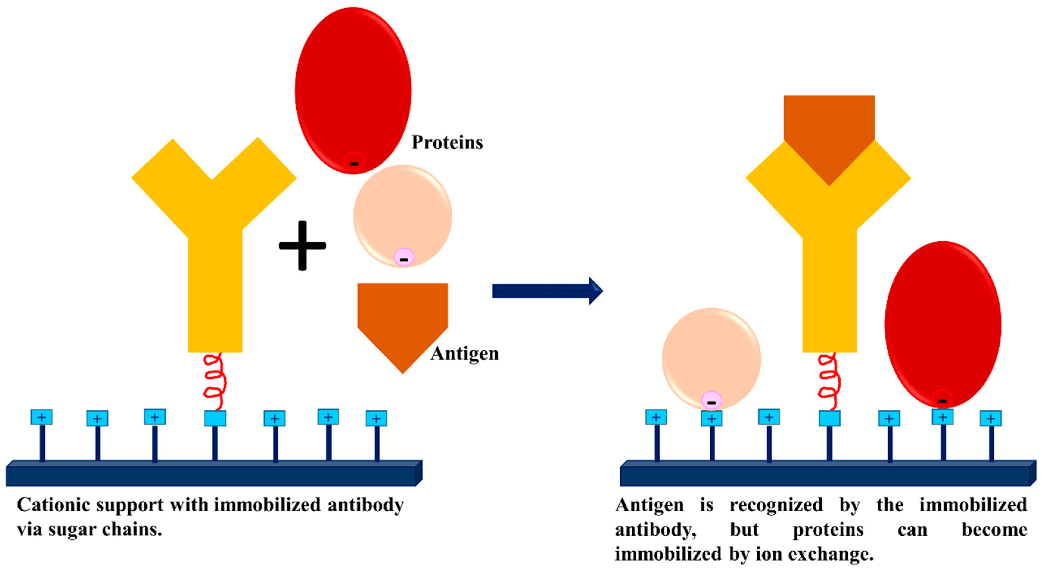 Catalysts 09 00622 g011 Catalysts 09 00622 g011