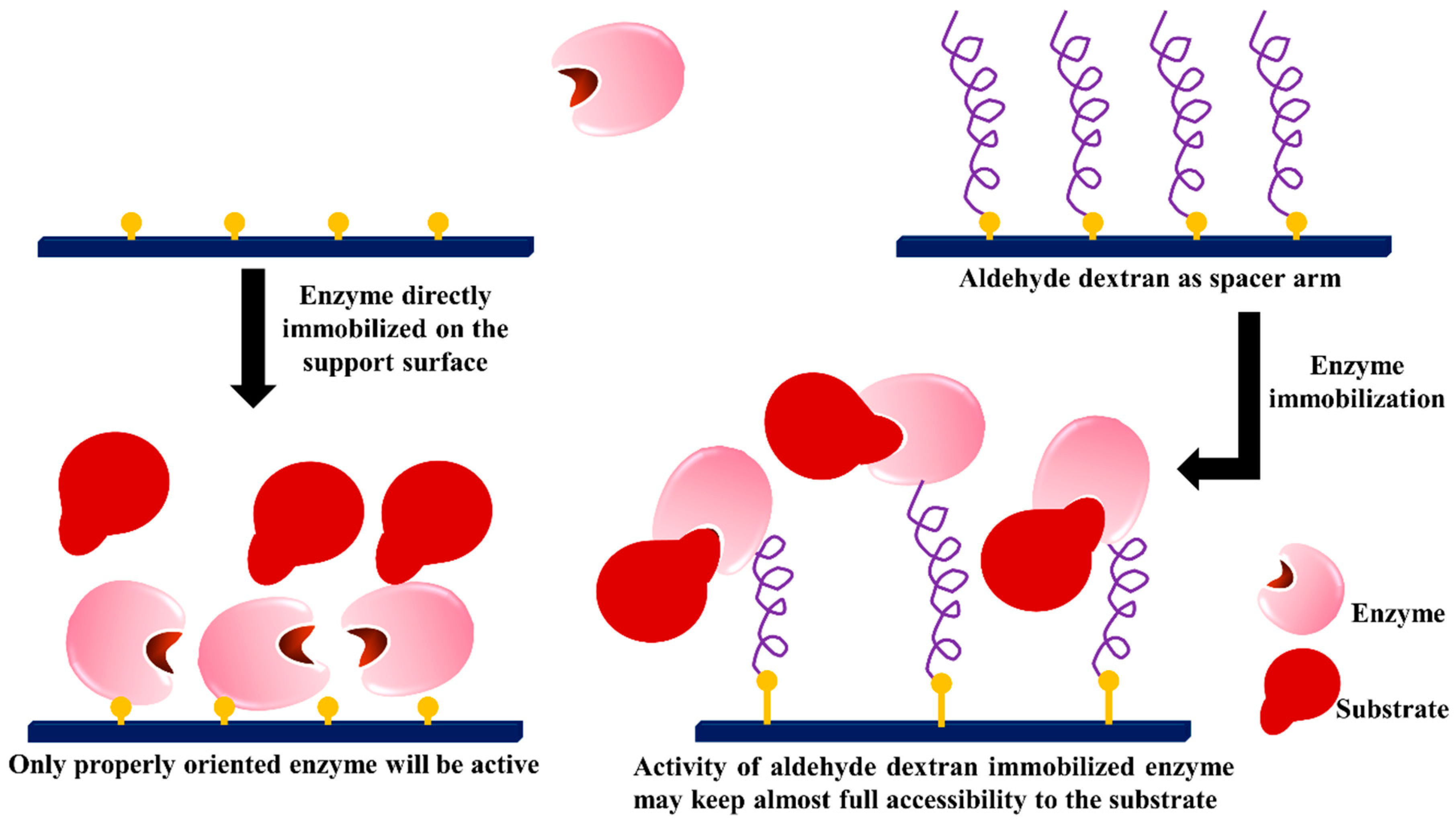 Catalysts 09 00622 g015 Catalysts 09 00622 g015