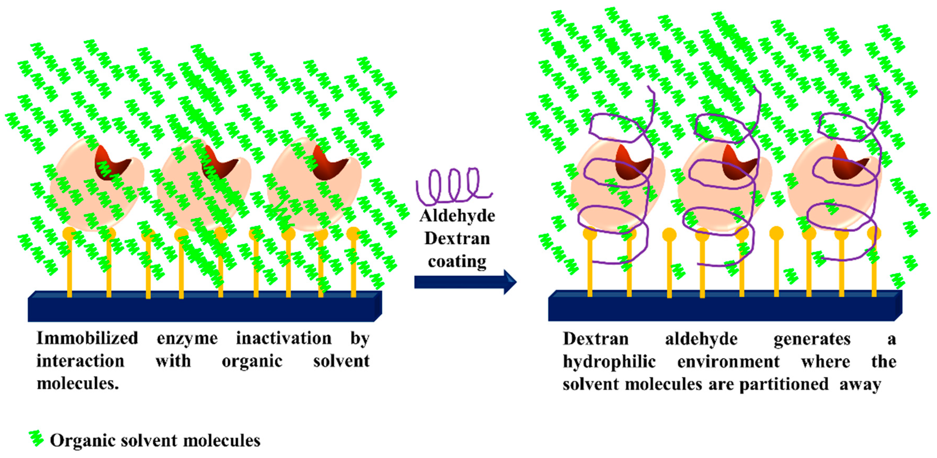 Catalysts 09 00622 g016 Catalysts 09 00622 g016