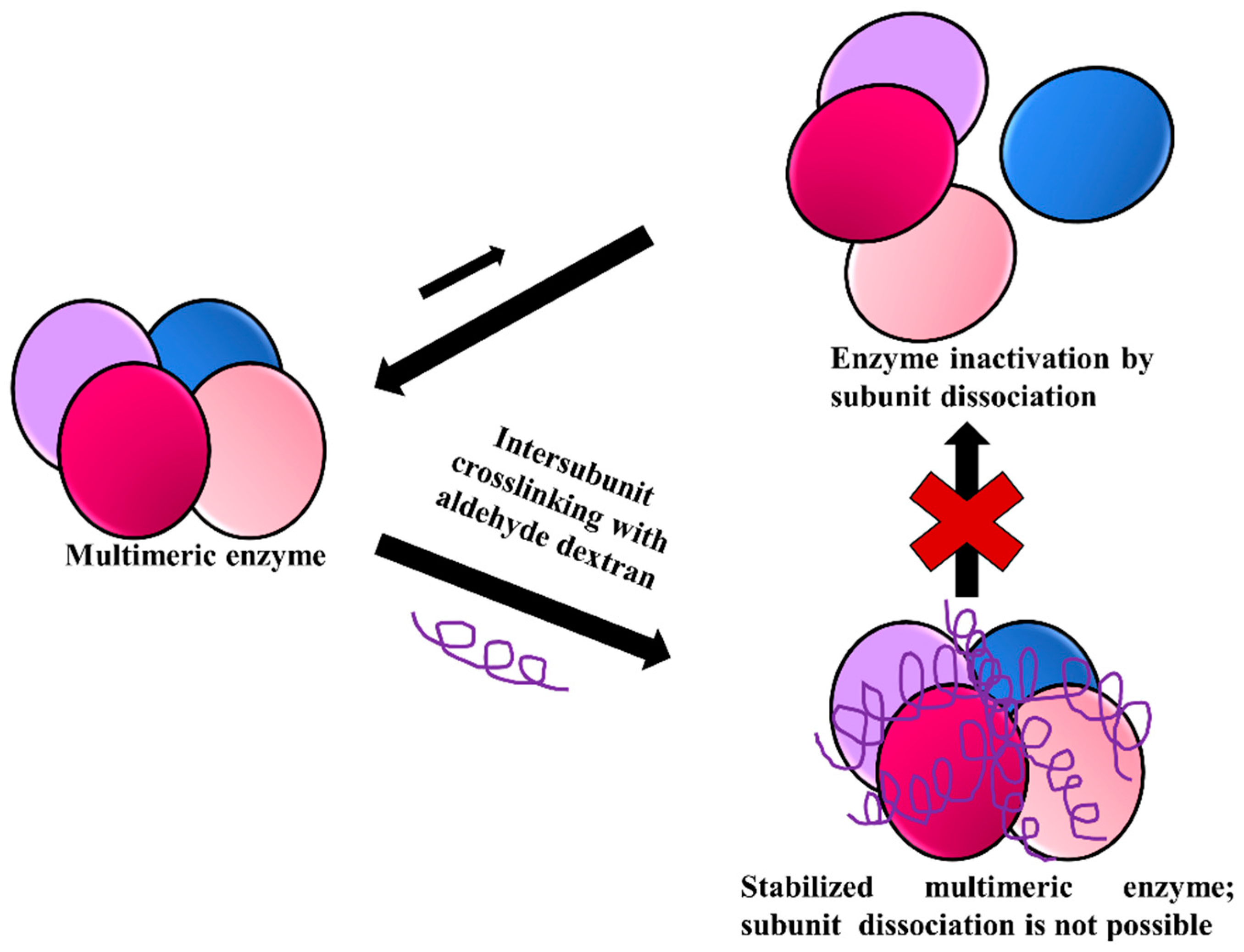 Catalysts 09 00622 g017 Catalysts 09 00622 g017