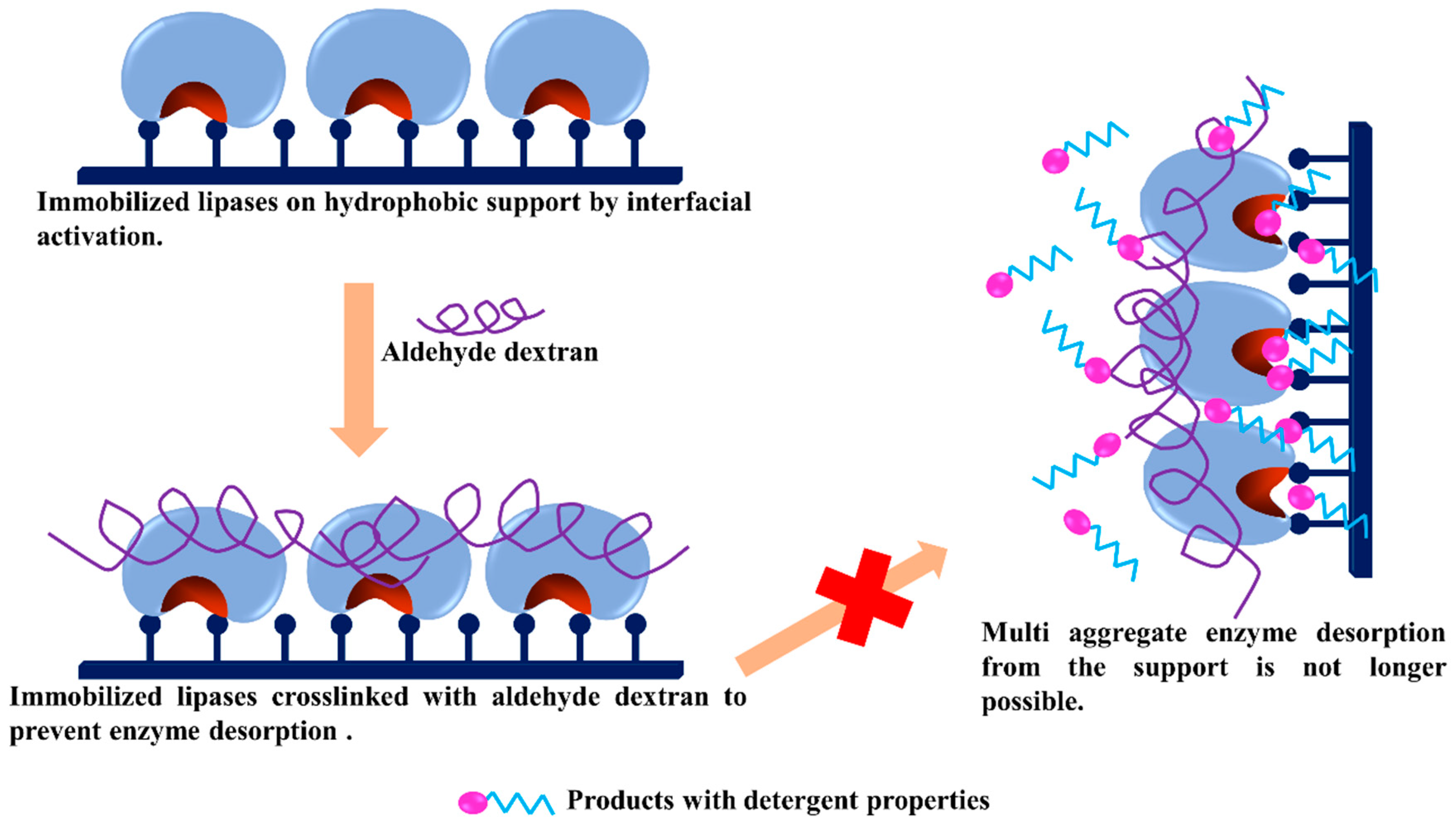 Catalysts 09 00622 g021 Catalysts 09 00622 g021