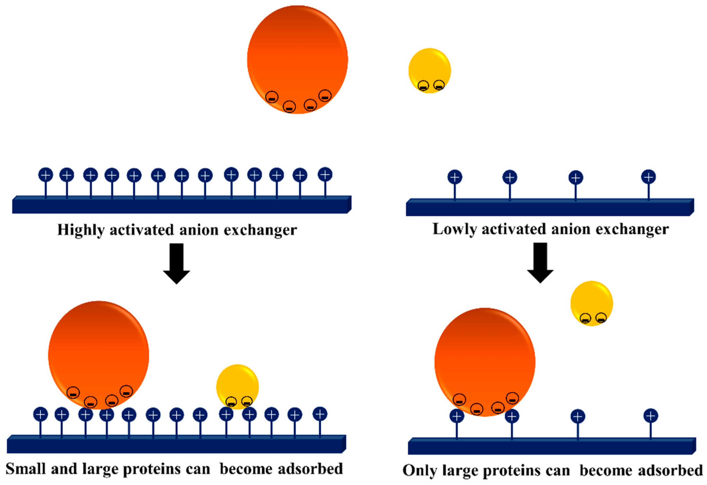 Catalysts 09 00622 g022 Catalysts 09 00622 g022