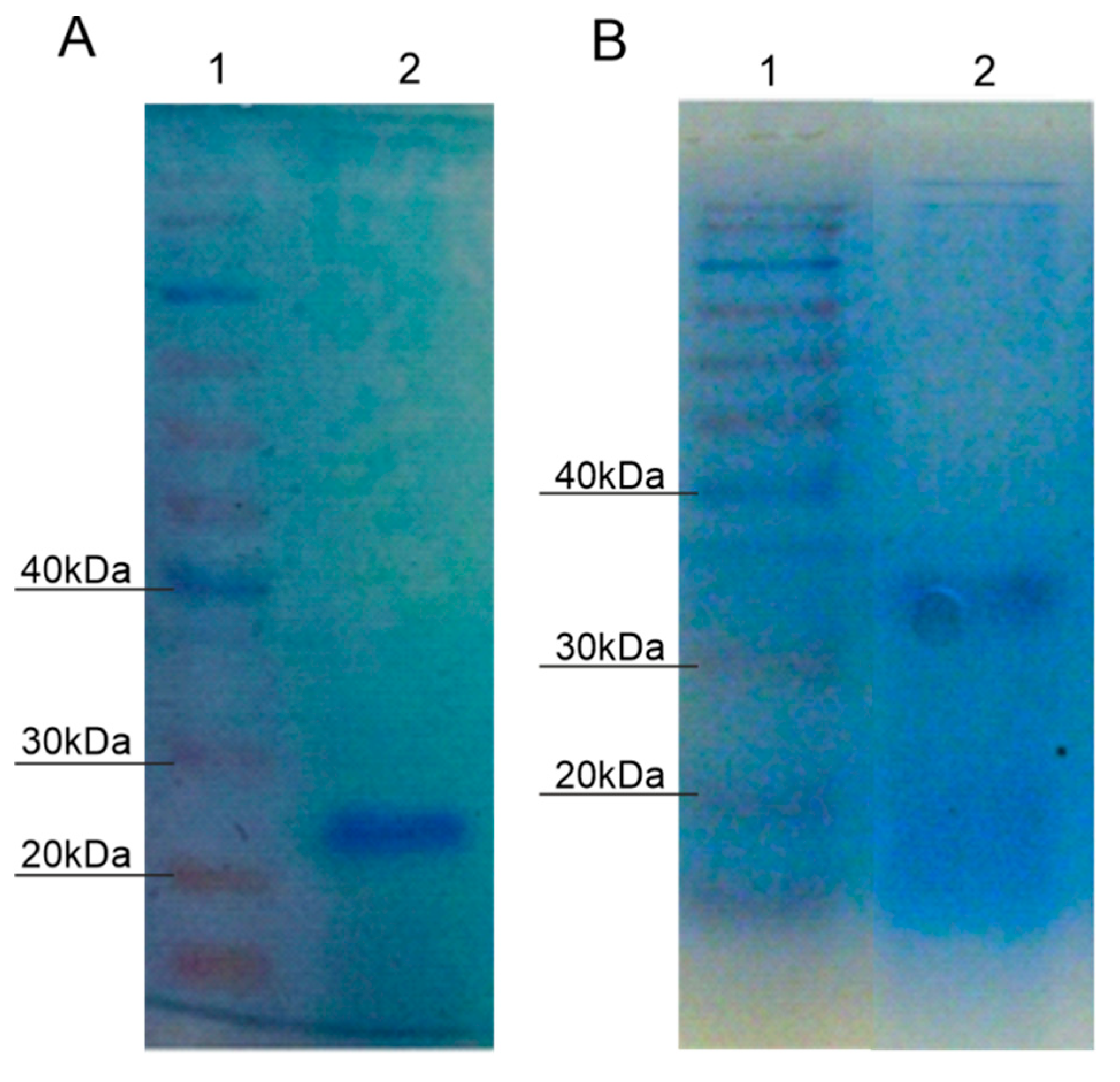 Catalysts 09 00629 g002 Catalysts 09 00629 g002