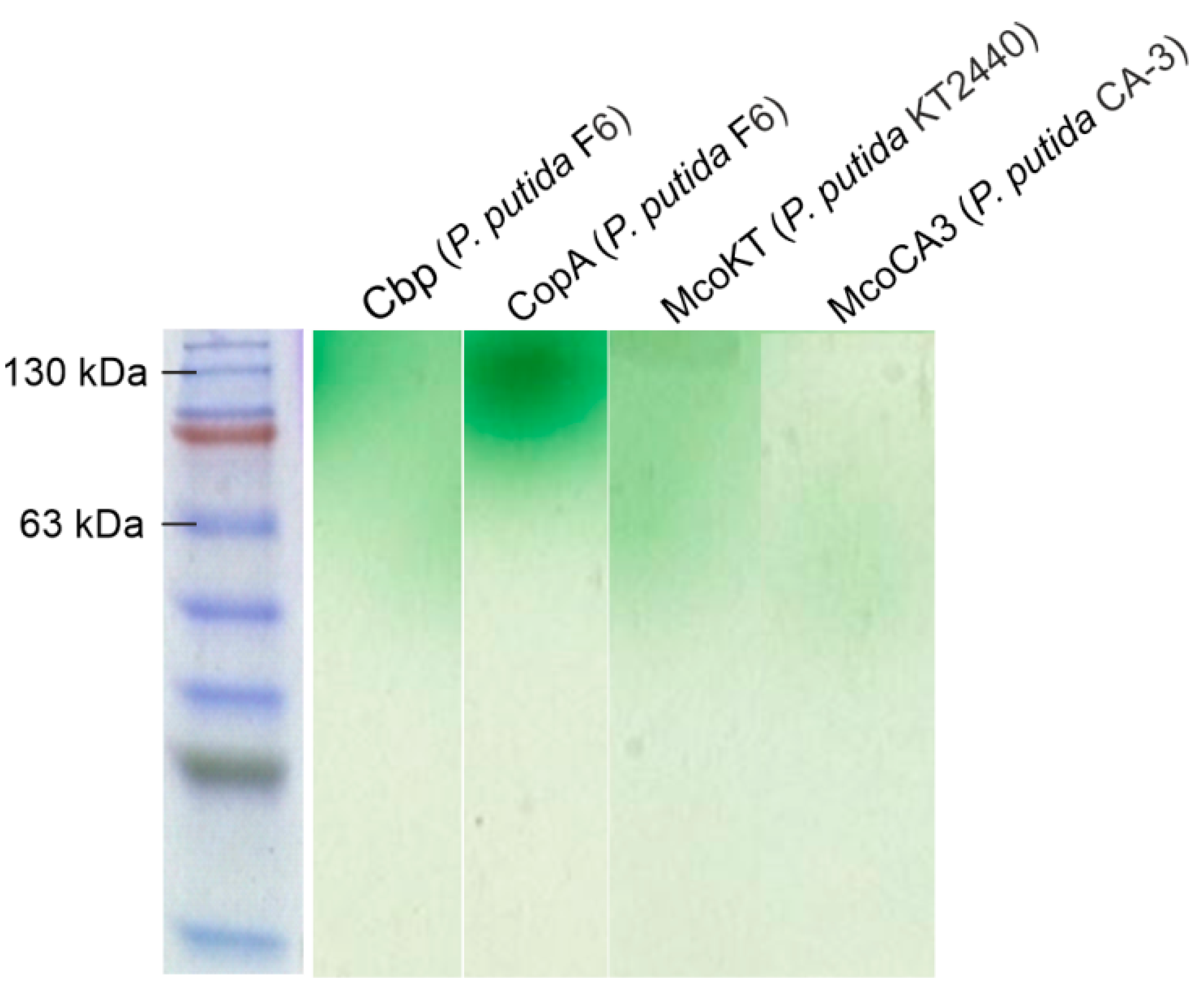 Catalysts 09 00629 g003 Catalysts 09 00629 g003