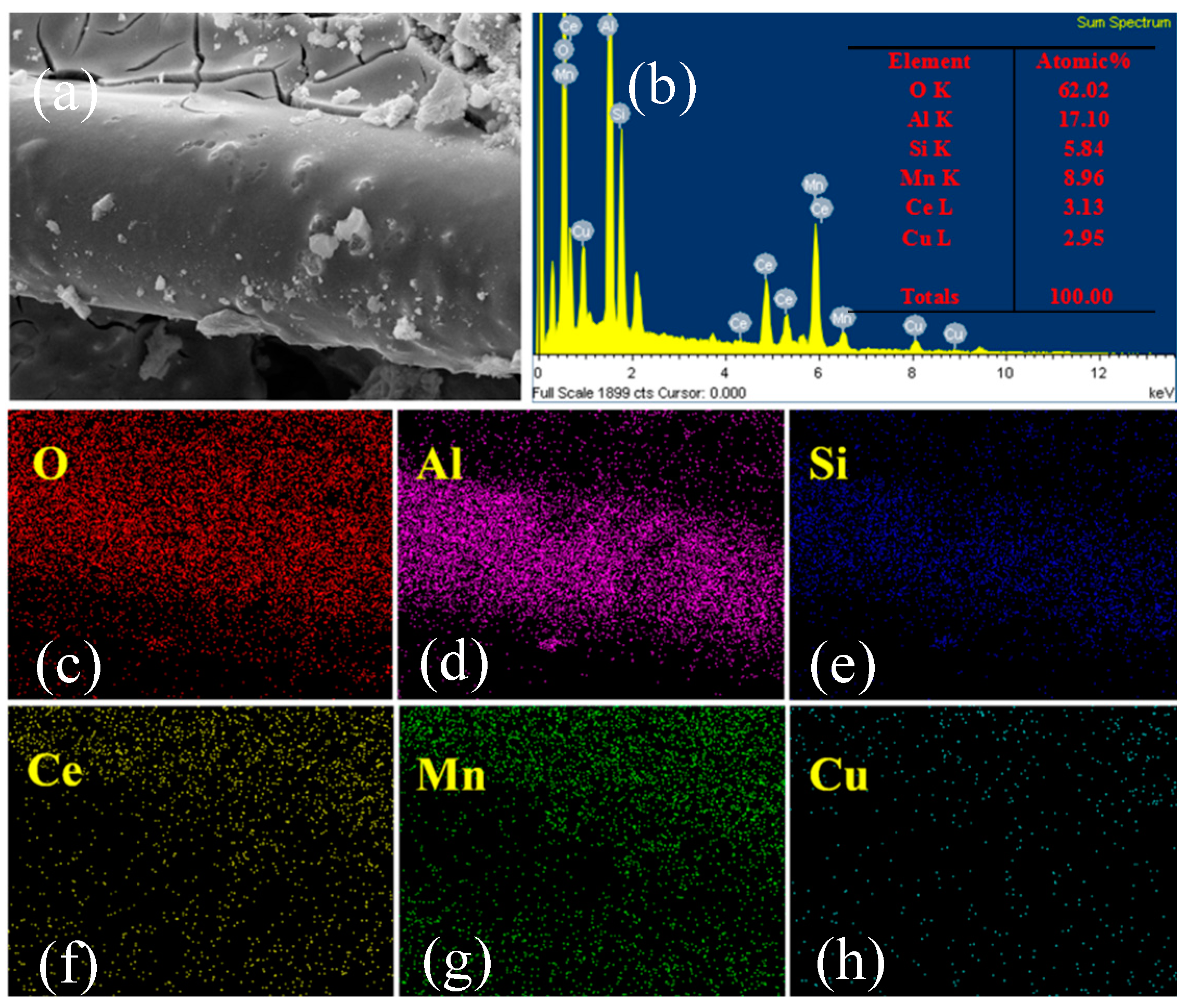 Catalysts 09 00652 g004