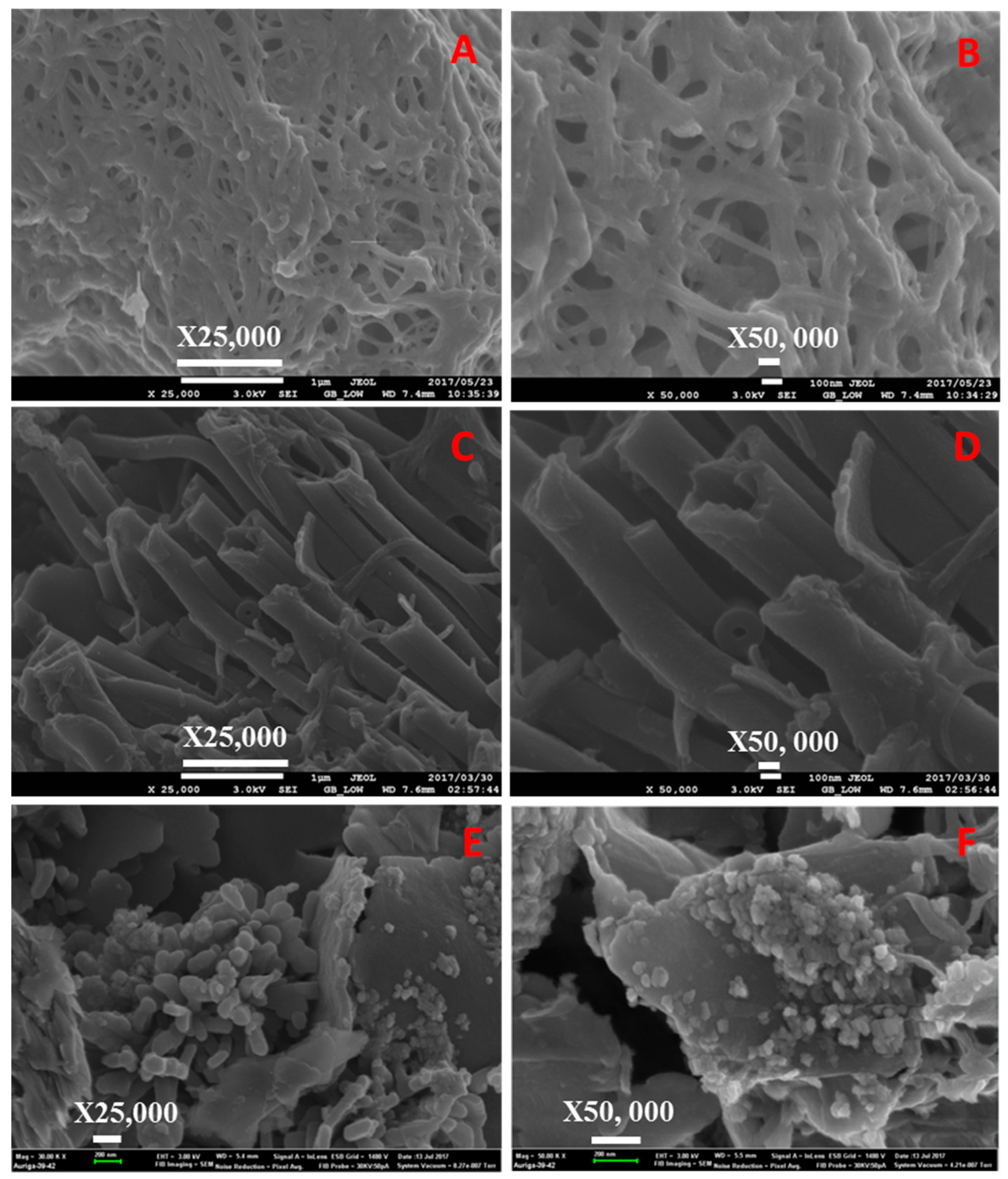 Catalysts 09 00656 g004 550