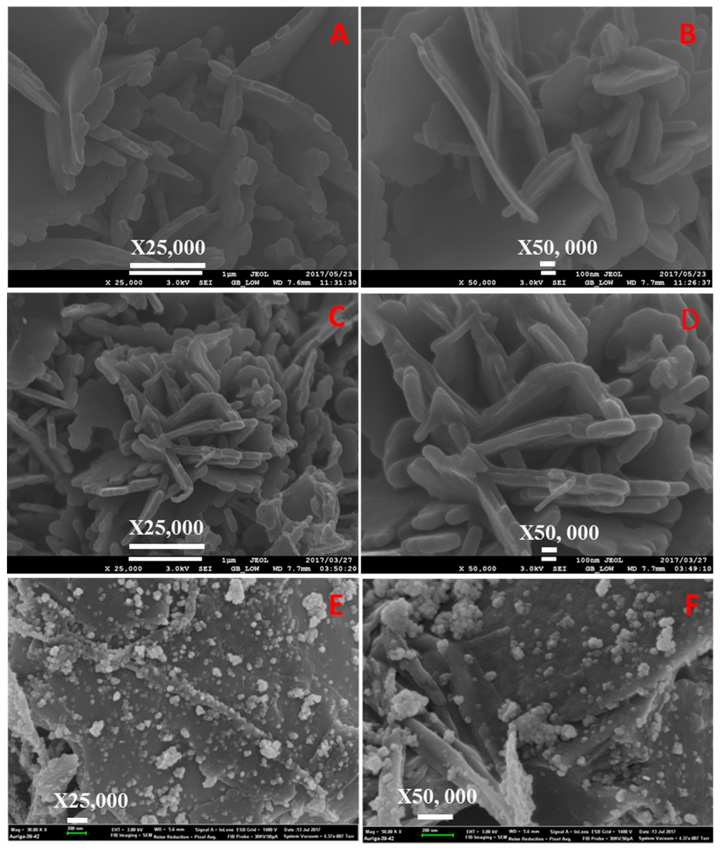 Catalysts 09 00656 g006 550