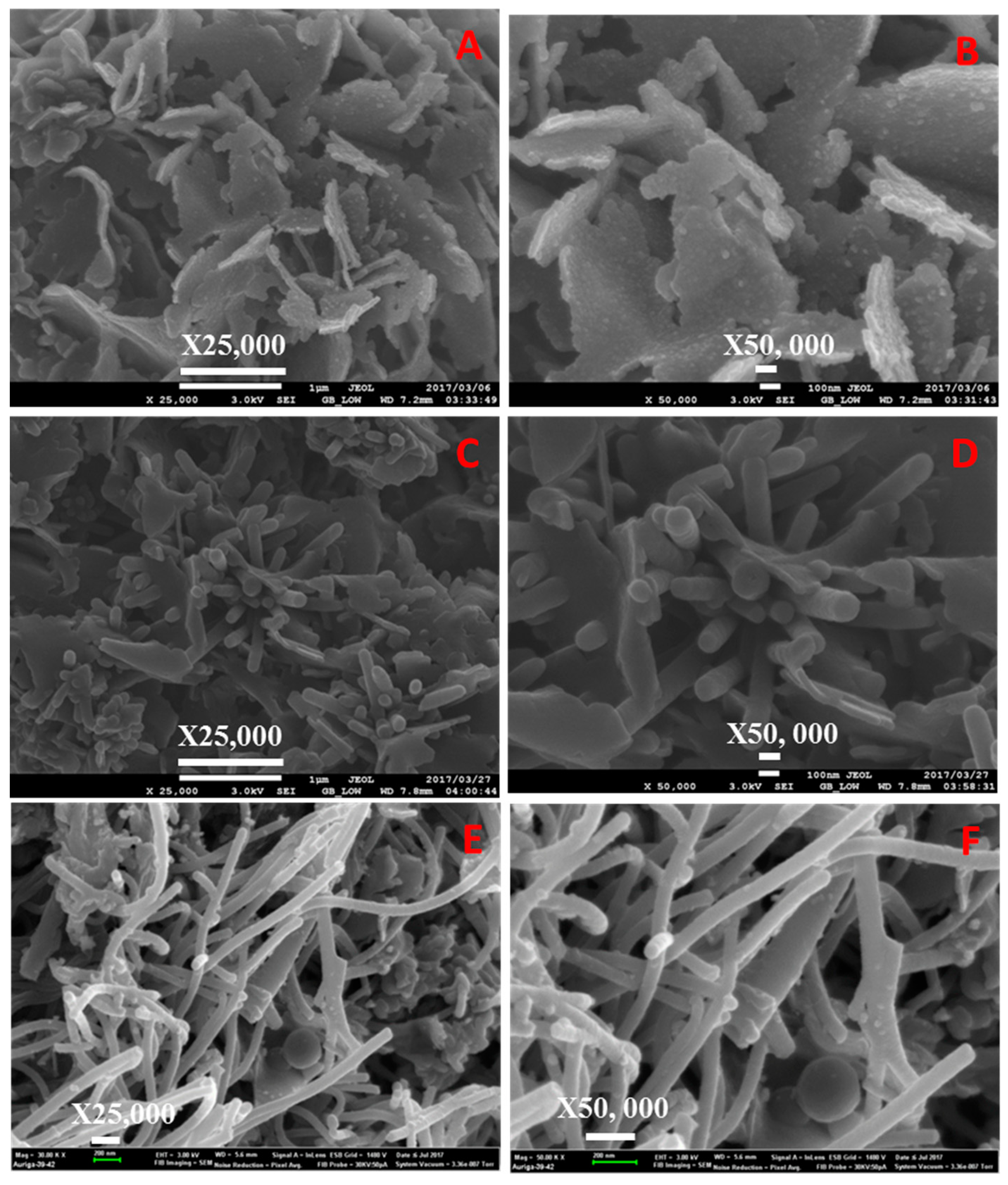 Catalysts 09 00656 g008 550