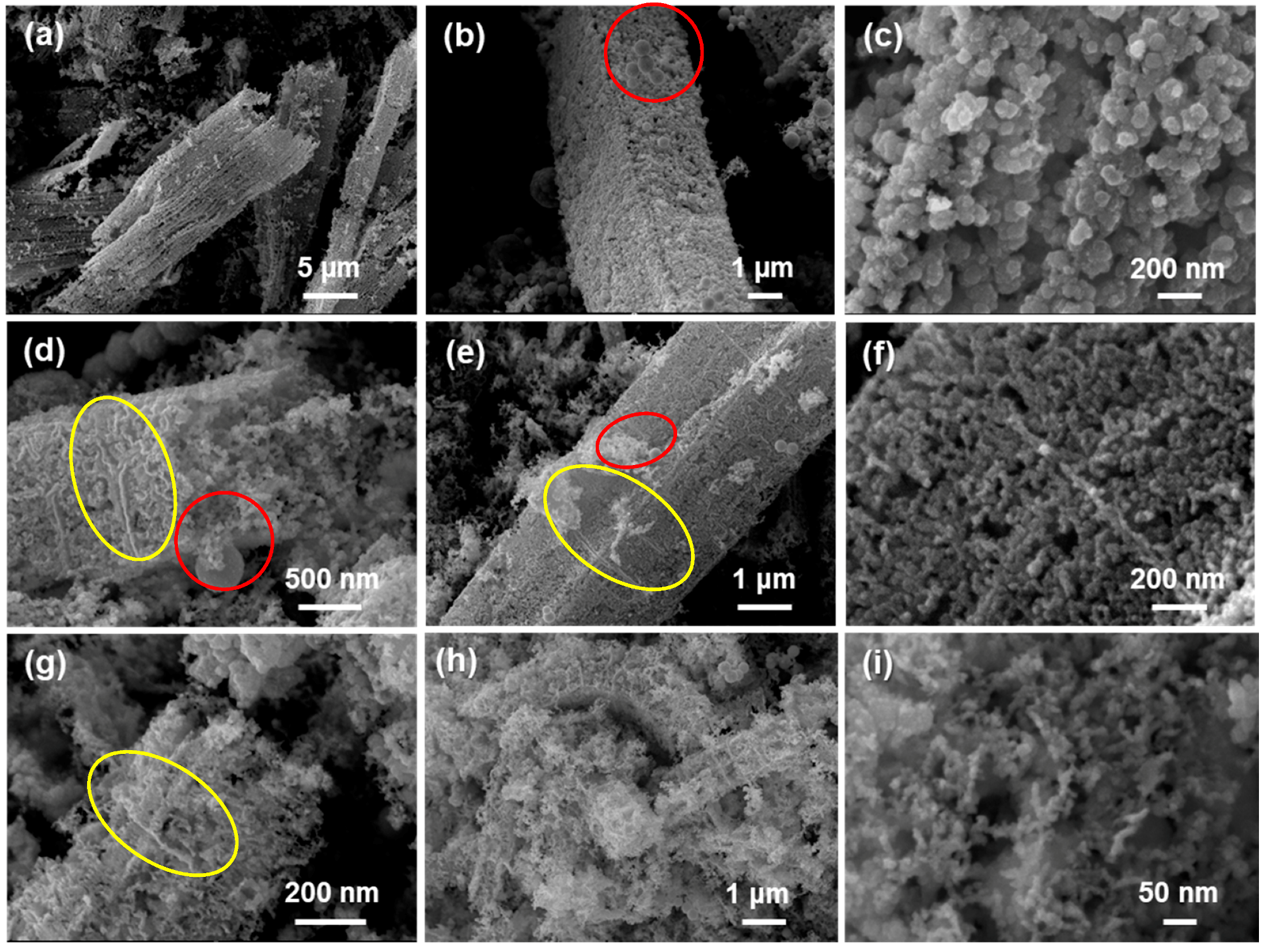 Catalysts 09 00662 g004 Catalysts 09 00662 g004