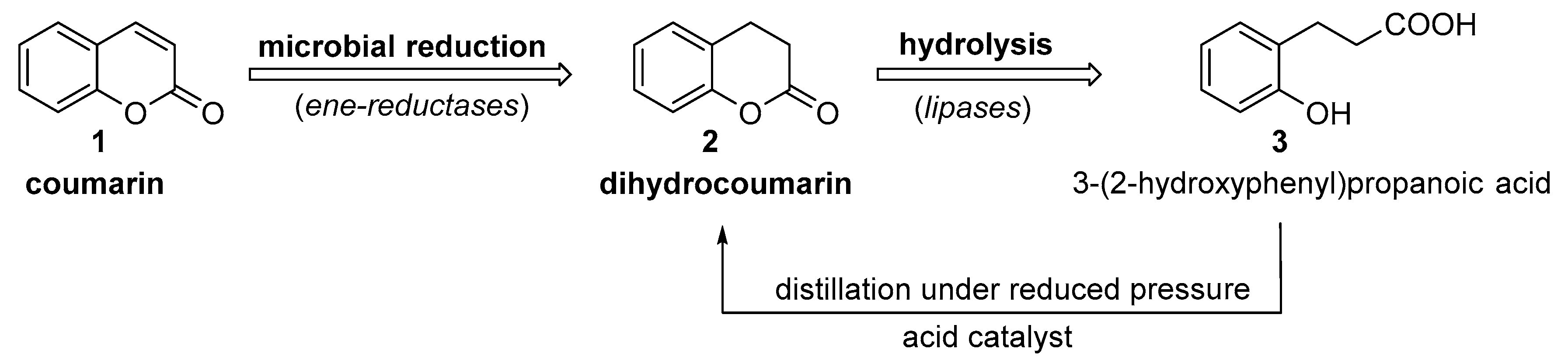 Catalysts 09 00665 g002