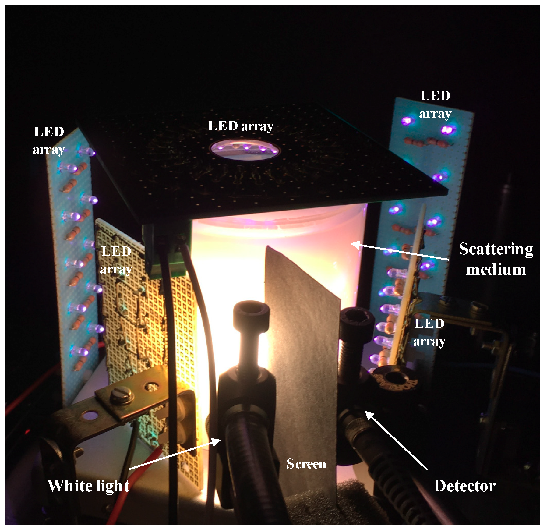 Catalysts 09 00669 g001