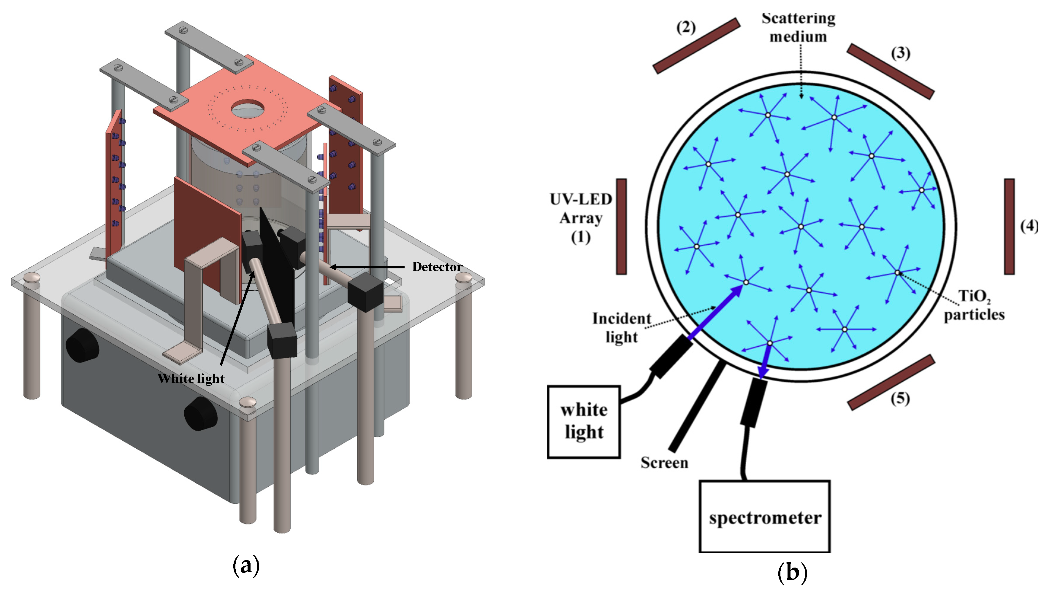 Catalysts 09 00669 g015