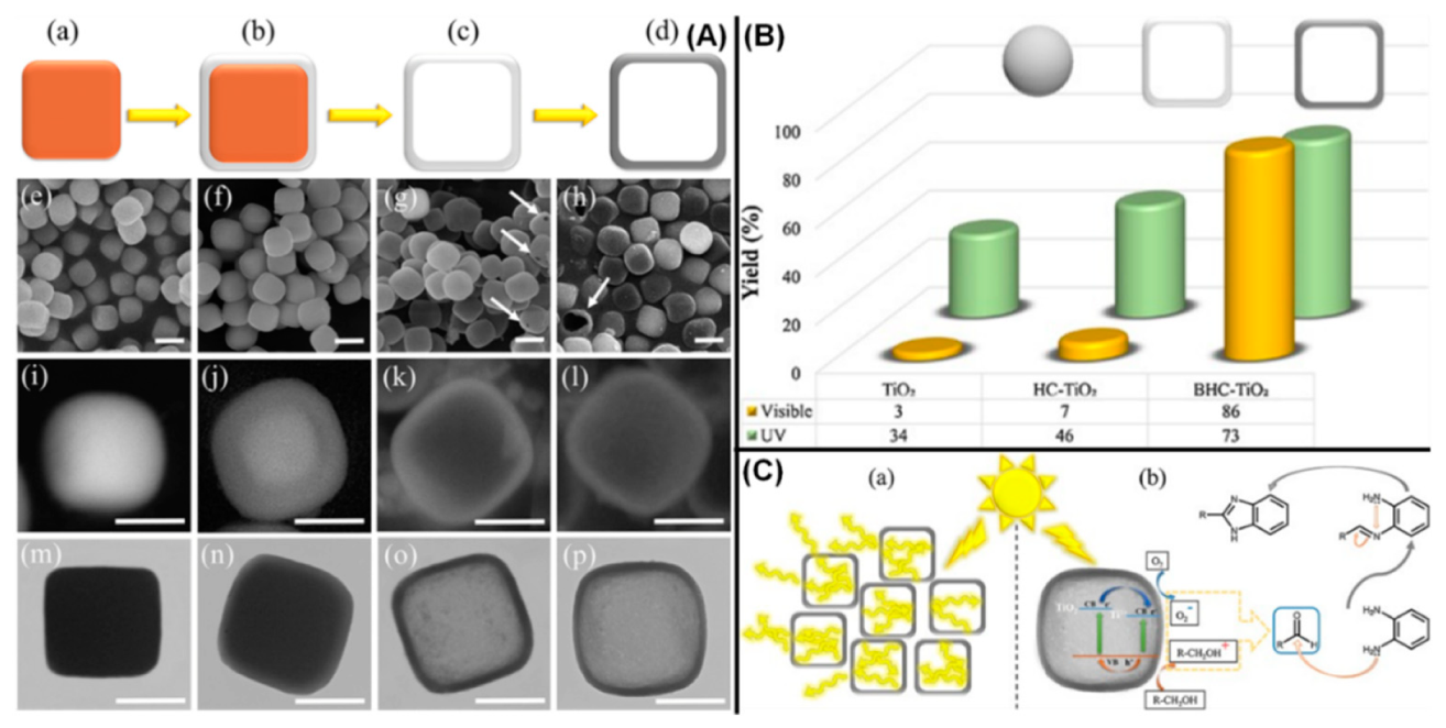 Catalysts 09 00680 g002