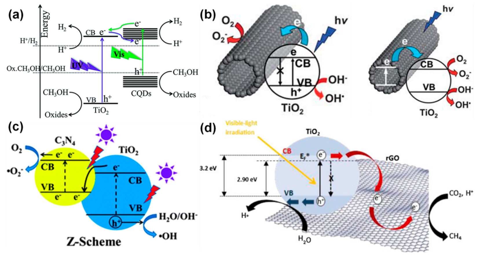 Catalysts 09 00680 g013