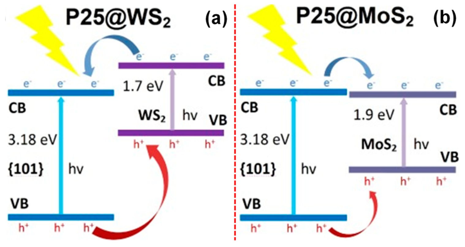 Catalysts 09 00680 g015