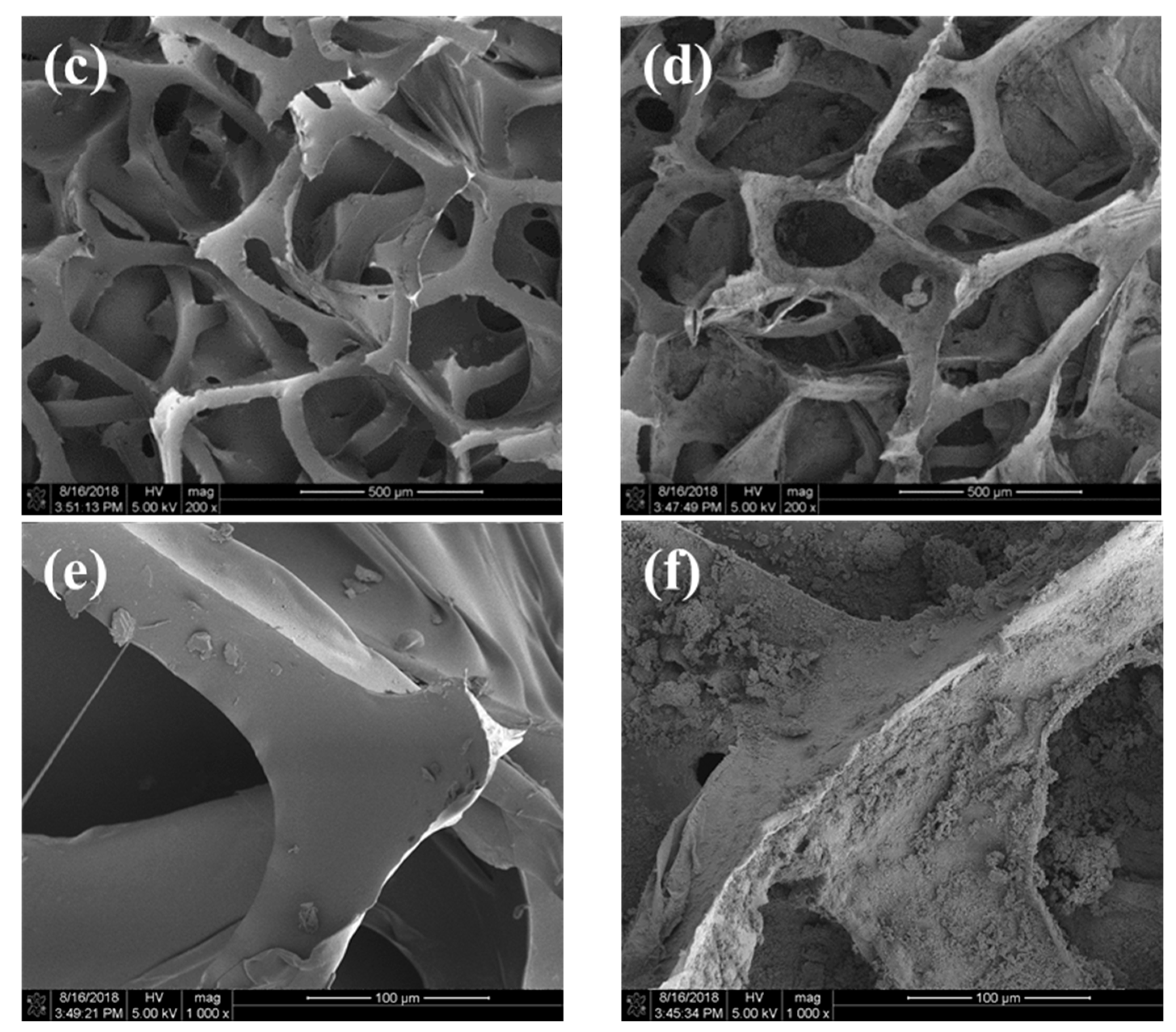Catalysts 09 00698 g001b Catalysts 09 00698 g001b