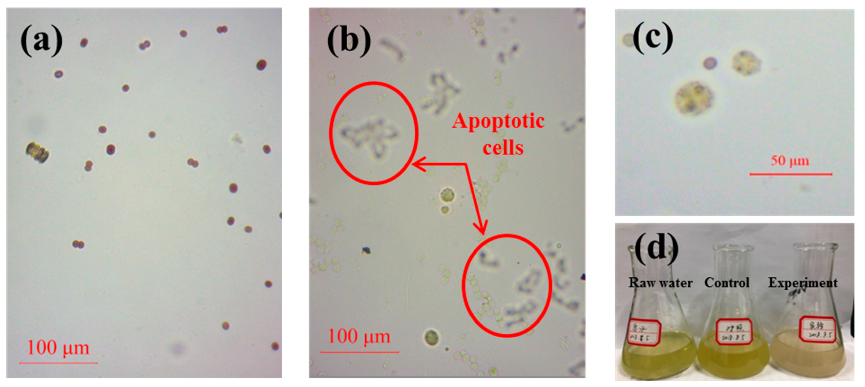 Catalysts 09 00698 g002 Catalysts 09 00698 g002