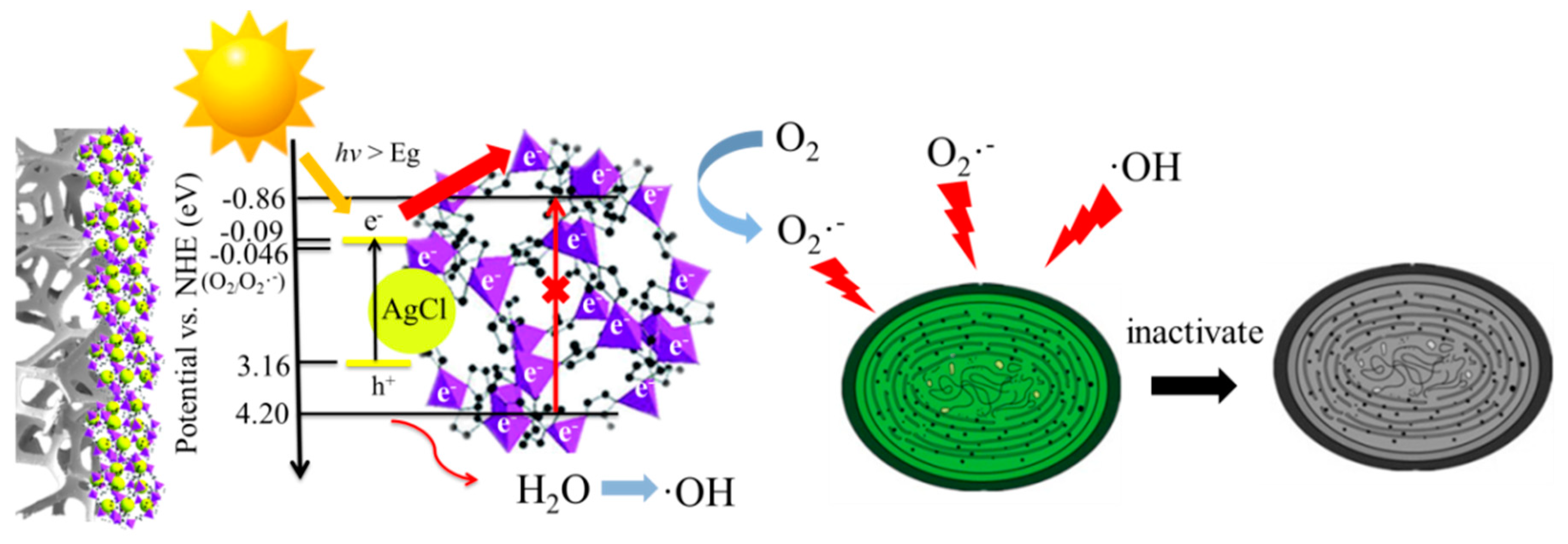 Catalysts 09 00698 g007 Catalysts 09 00698 g007