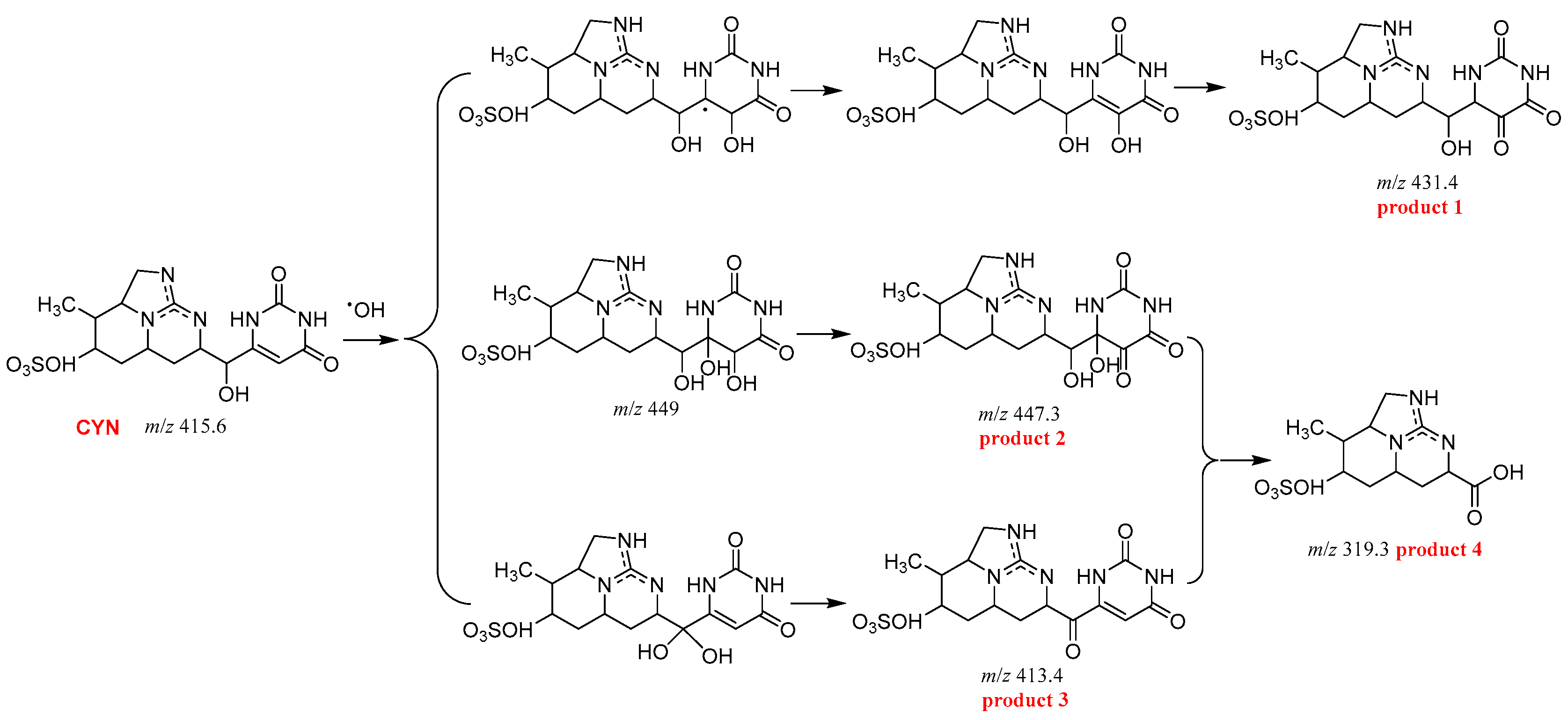 Catalysts 09 00699 g006