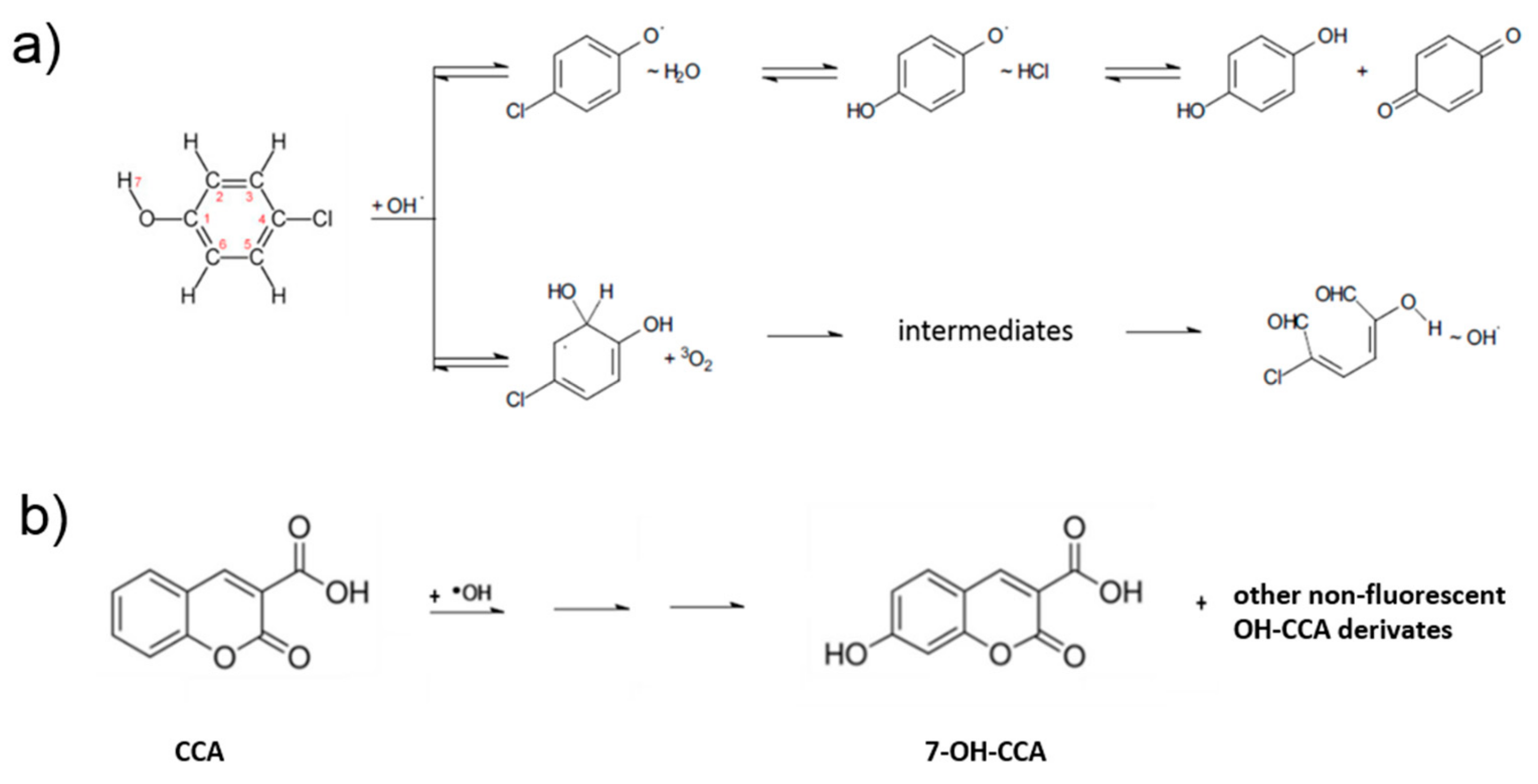 Catalysts 09 00708 g004