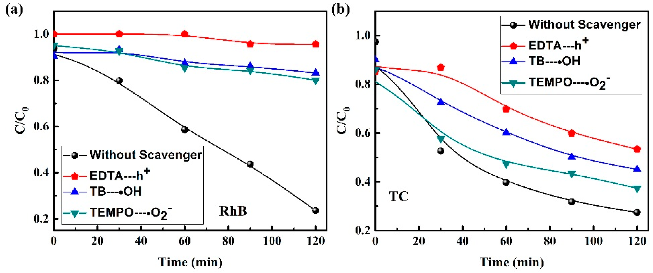 Catalysts 09 00712 g007