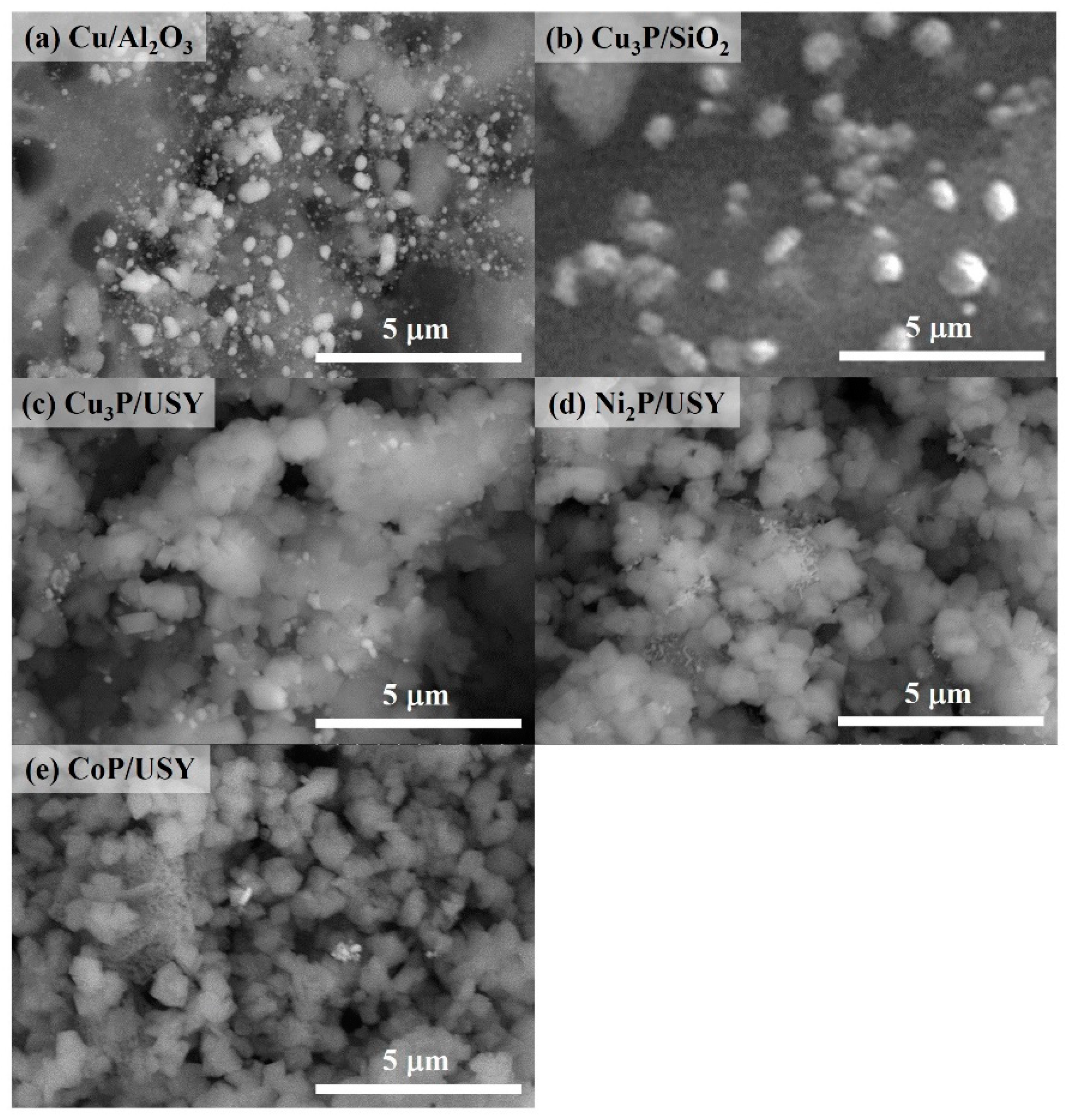 Catalysts 09 00715 g002 550