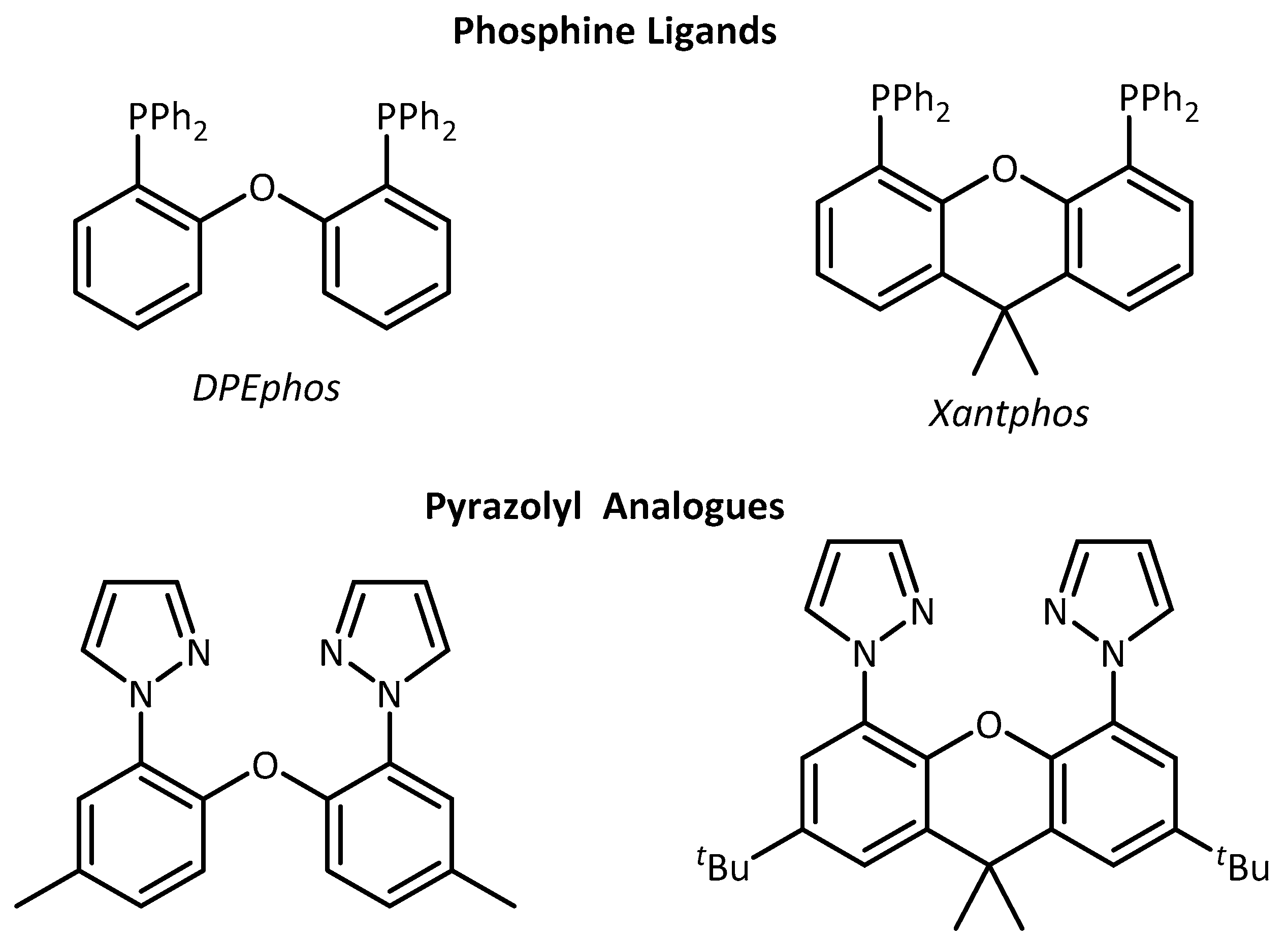 Catalysts 09 00718 g001
