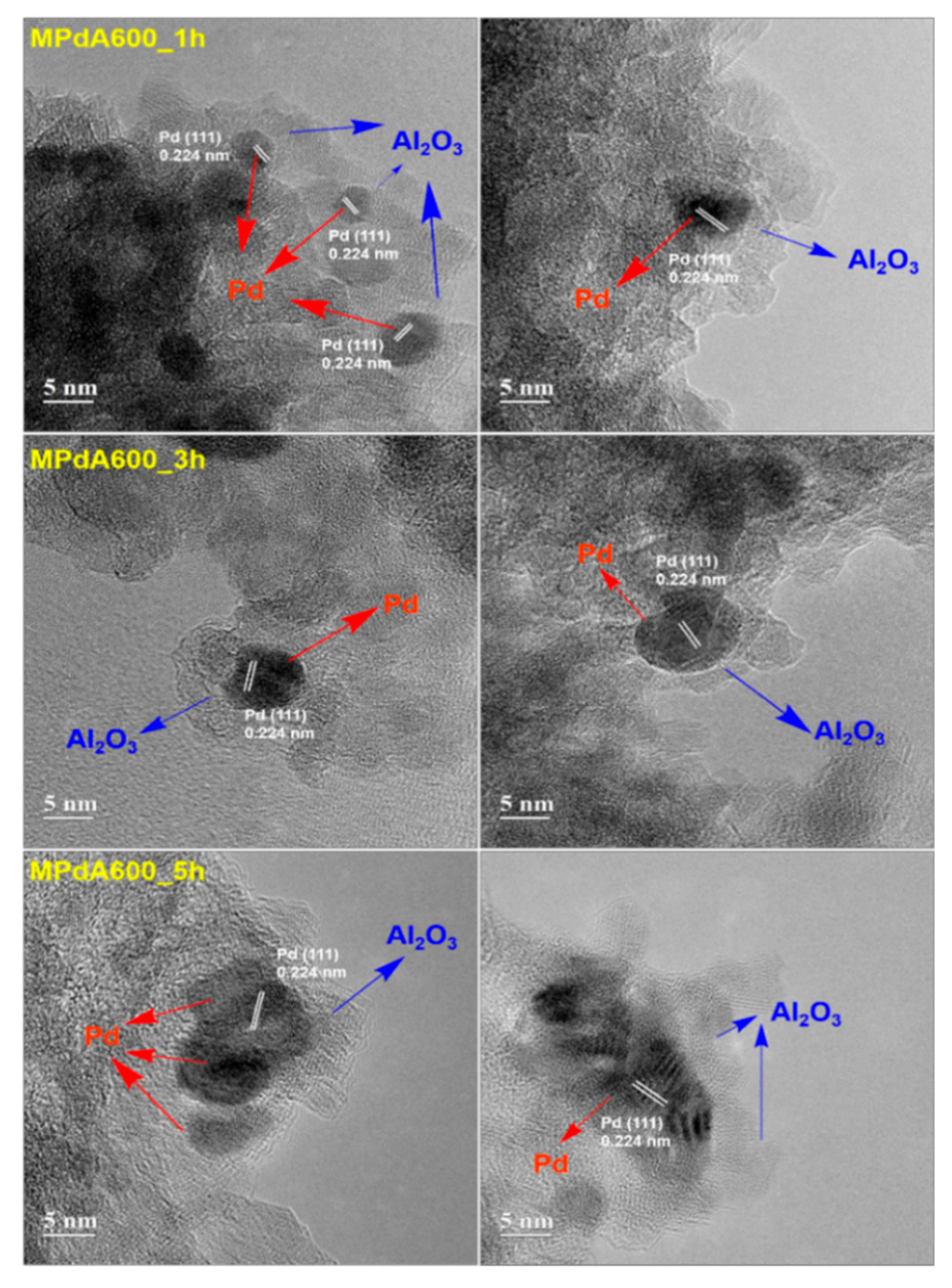 Catalysts 09 00719 g013 550