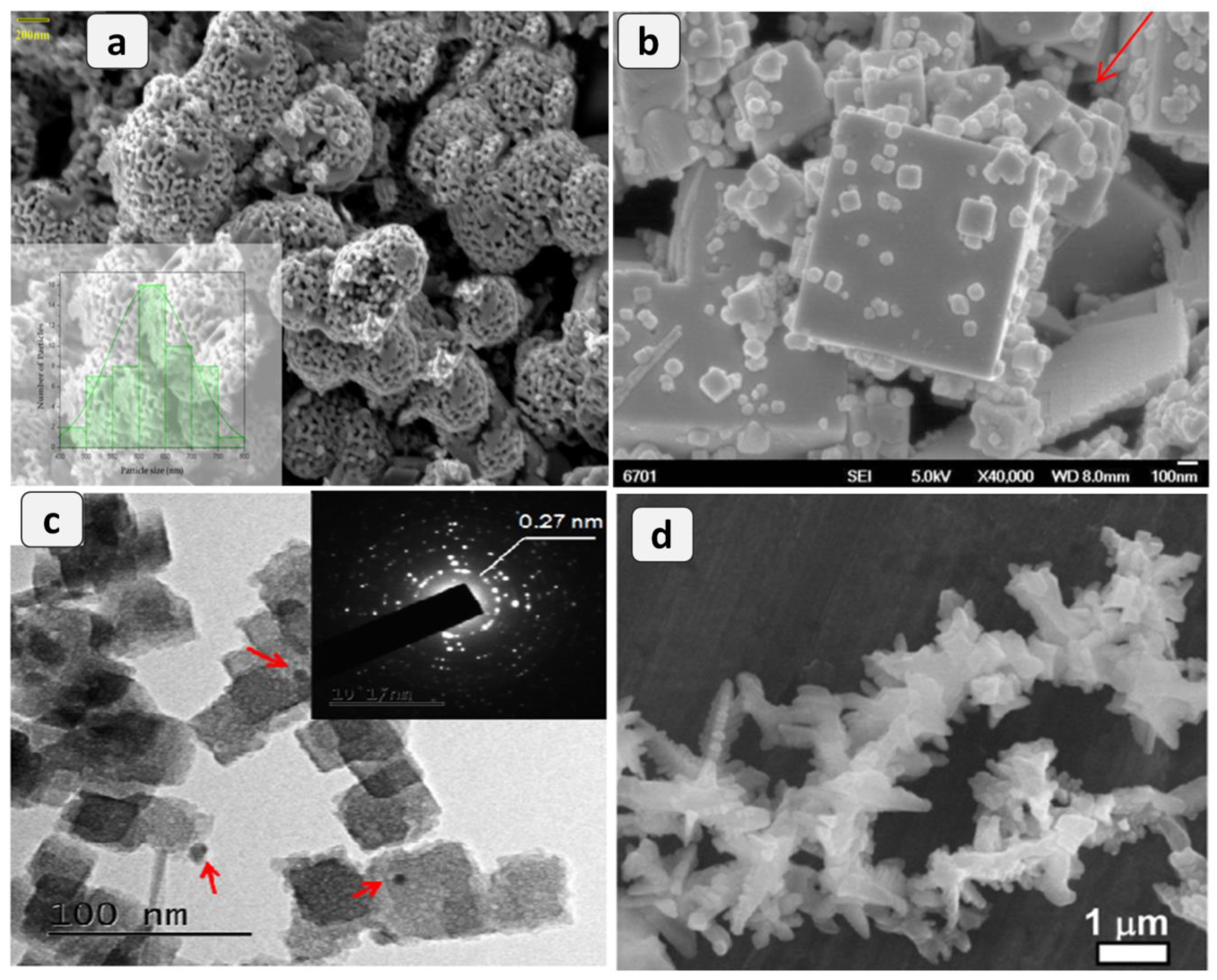 Catalysts 09 00721 g004 Catalysts 09 00721 g004