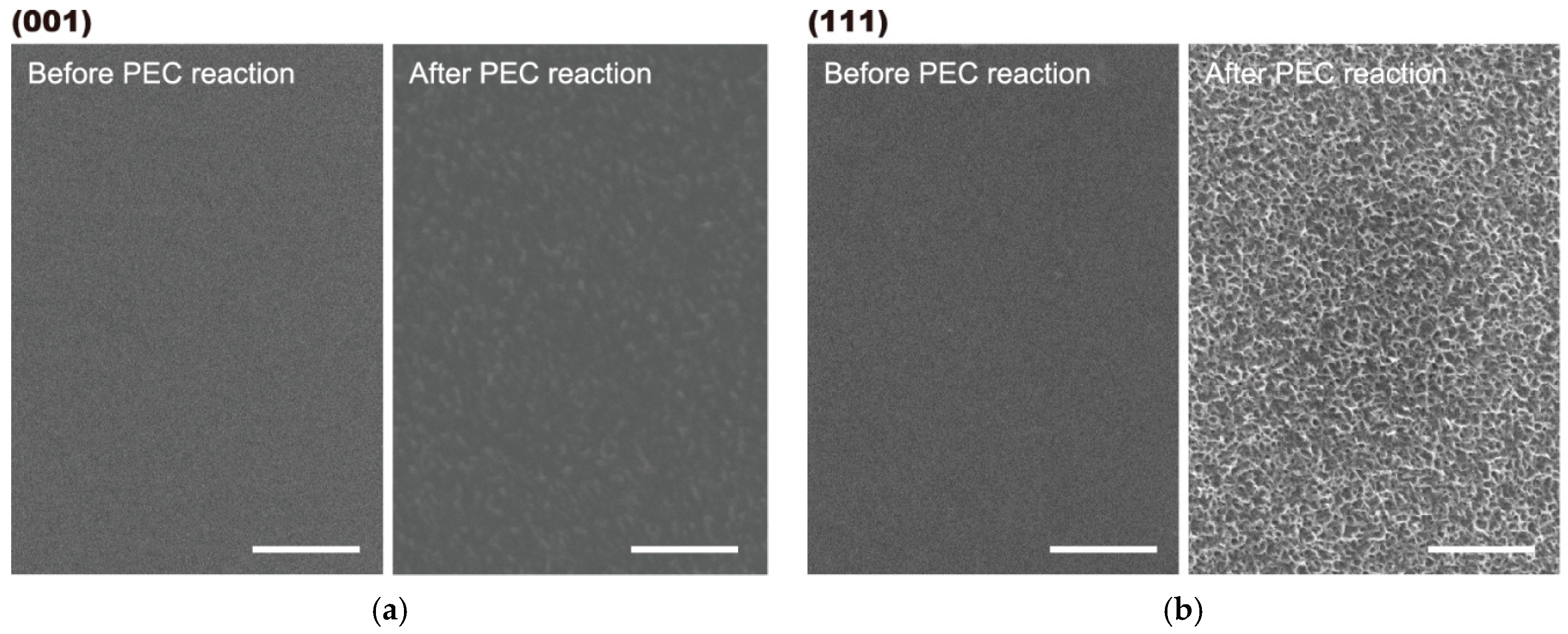 Catalysts 09 00725 g006